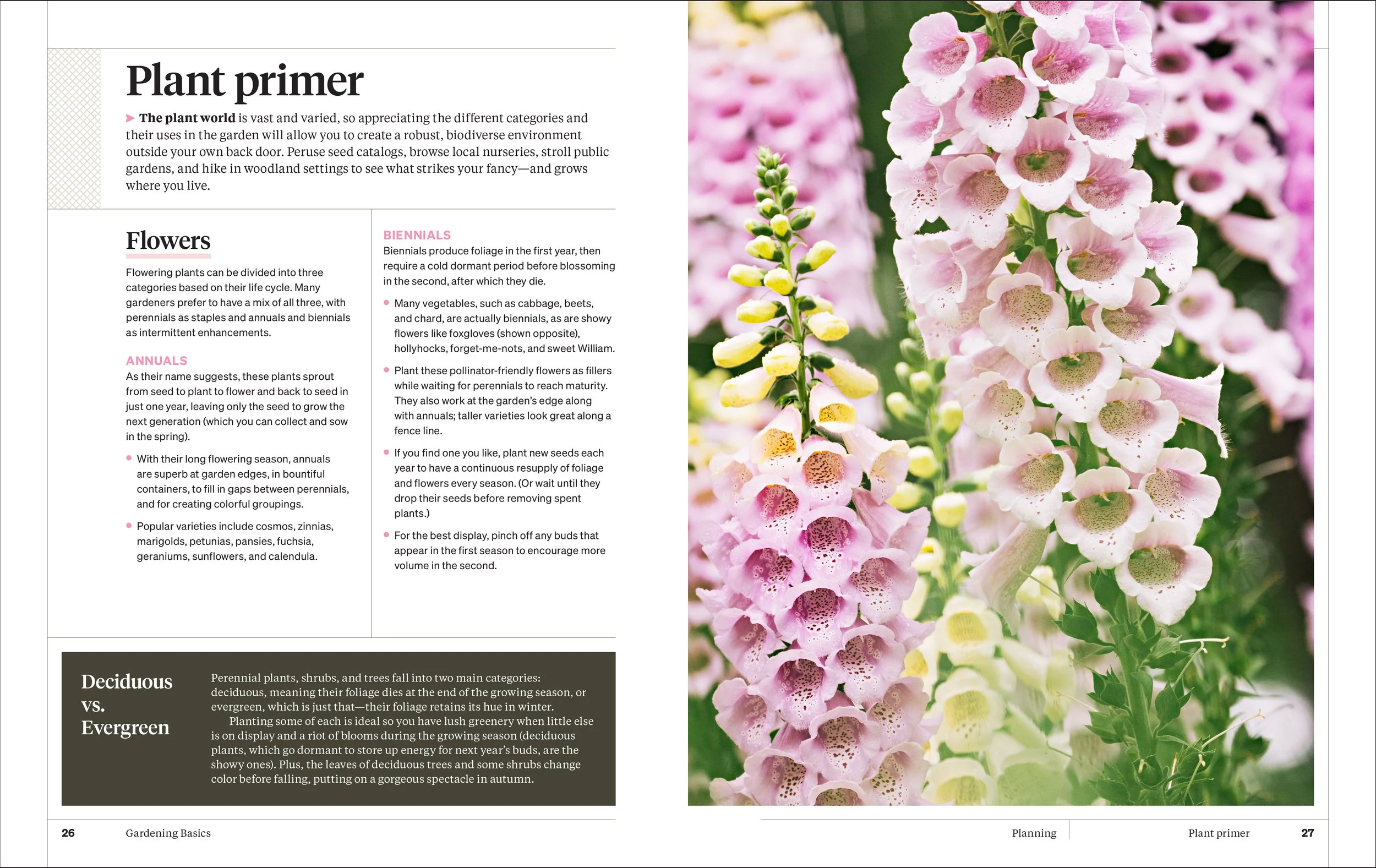 MS GARDENING_5p_v1-3.jpg