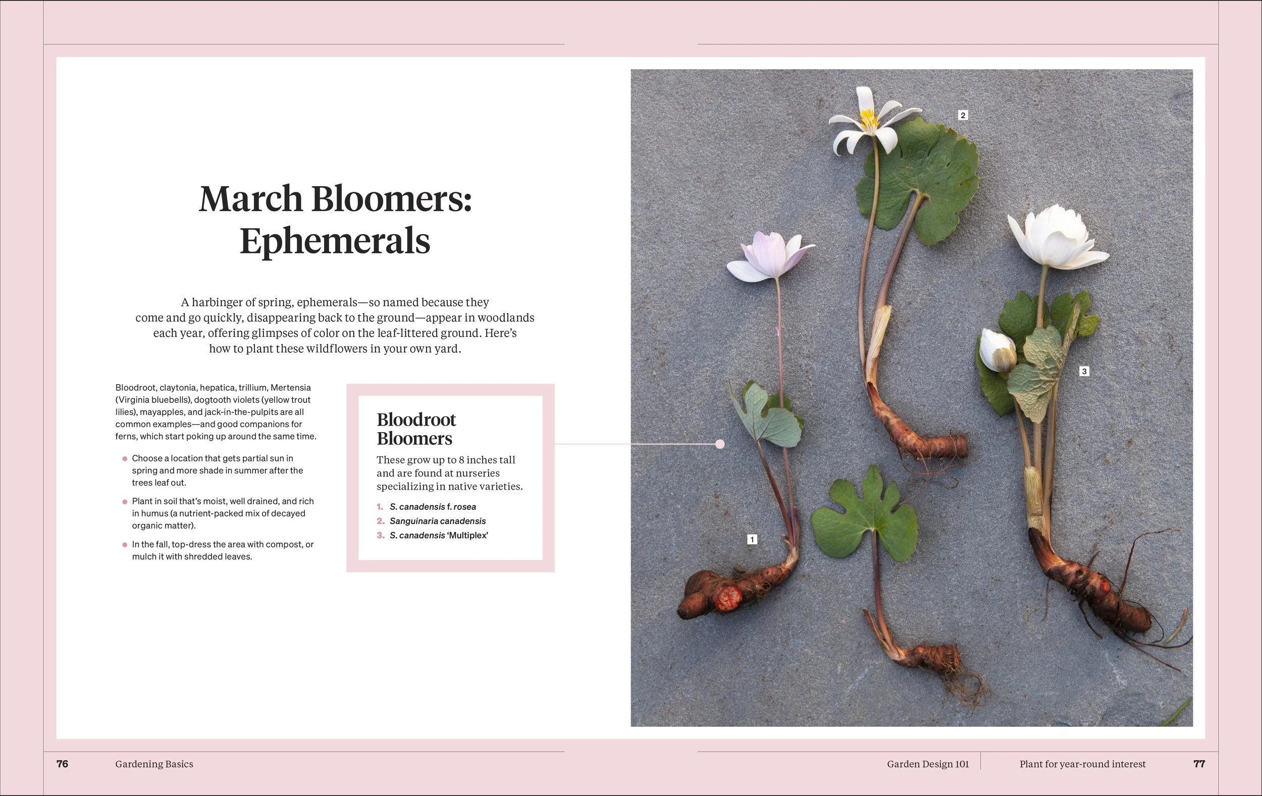 MS GARDENING_5p_v1-5.jpg