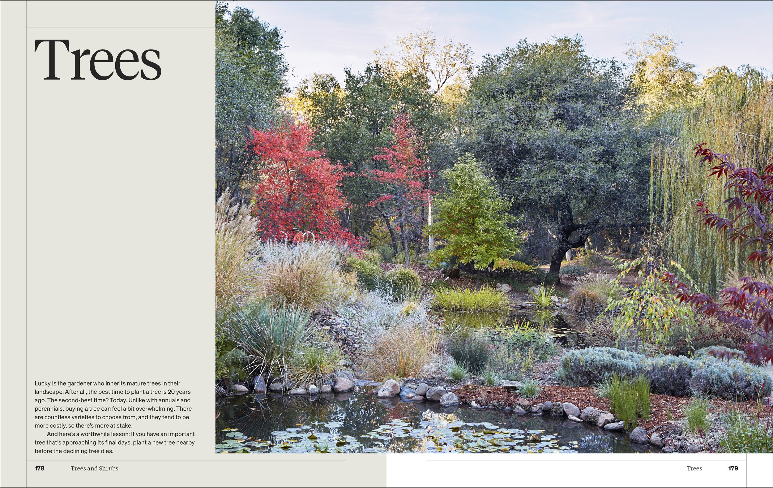 MS GARDENING_5p_v1-9.jpg