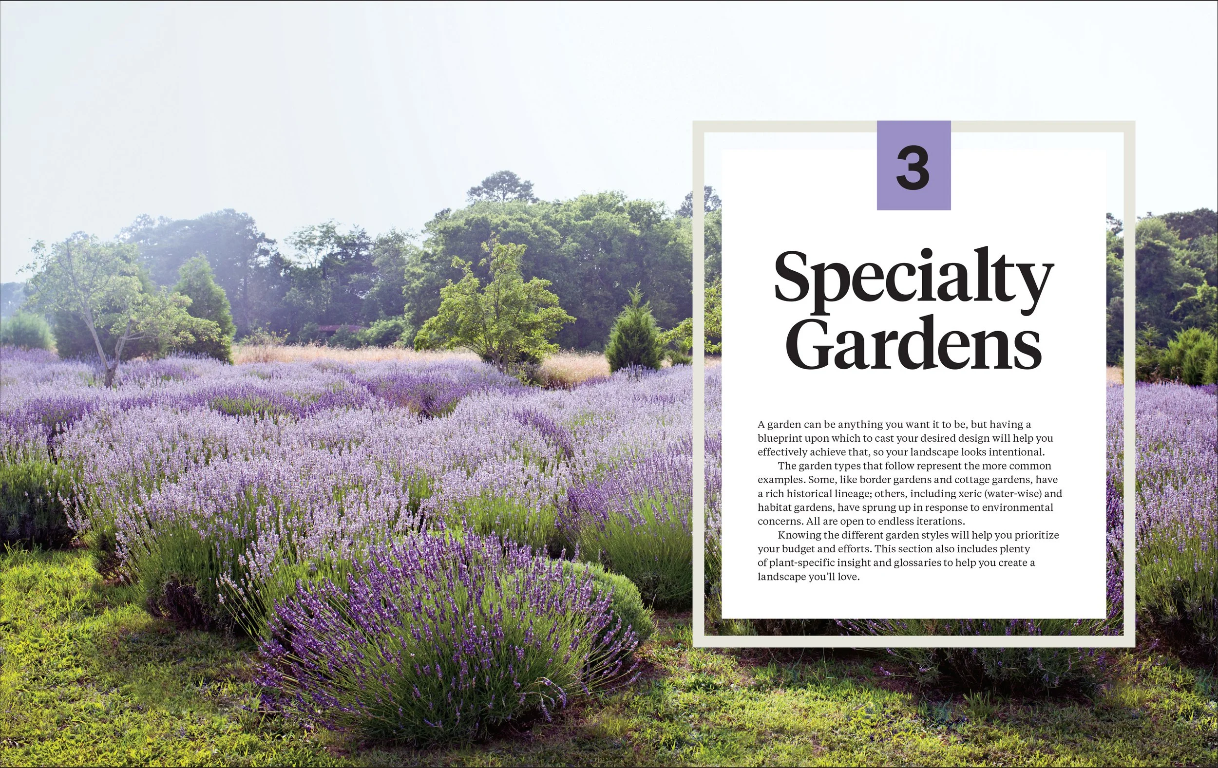 MS GARDENING_5p_v1-12.jpg