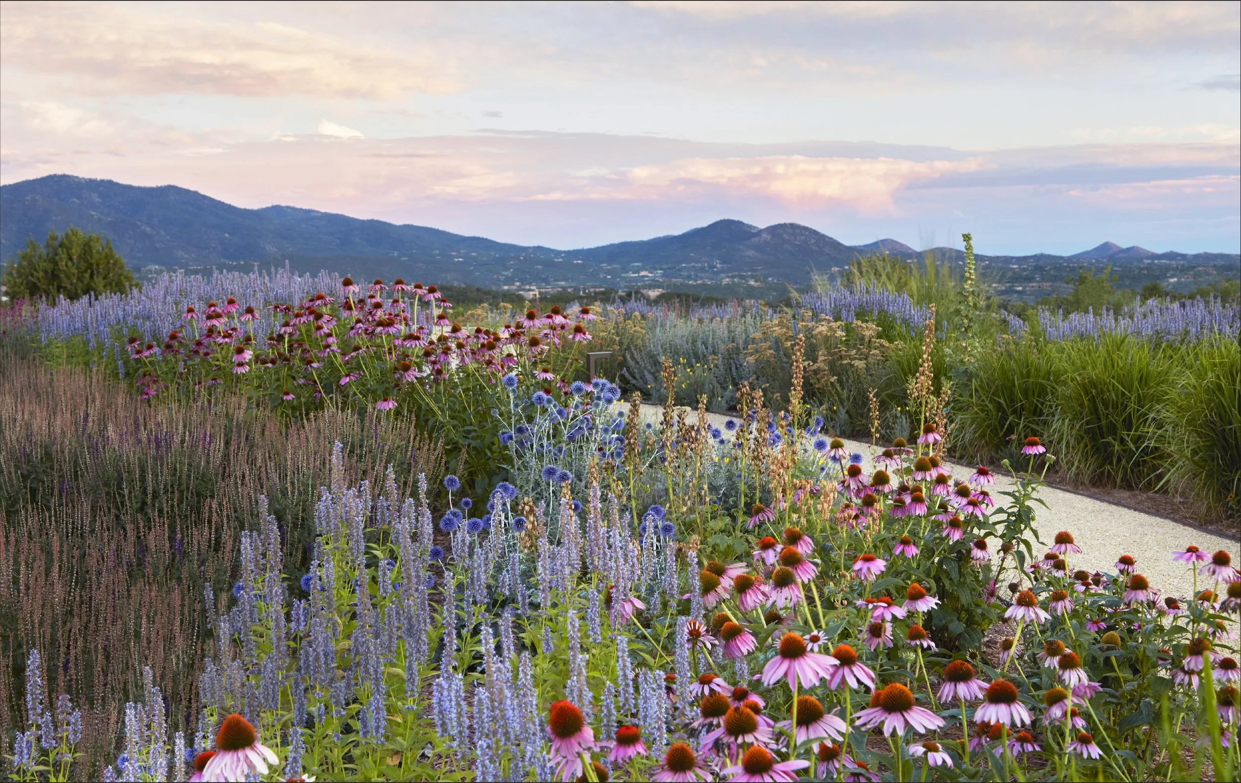 MS GARDENING_5p_v1-14.jpg