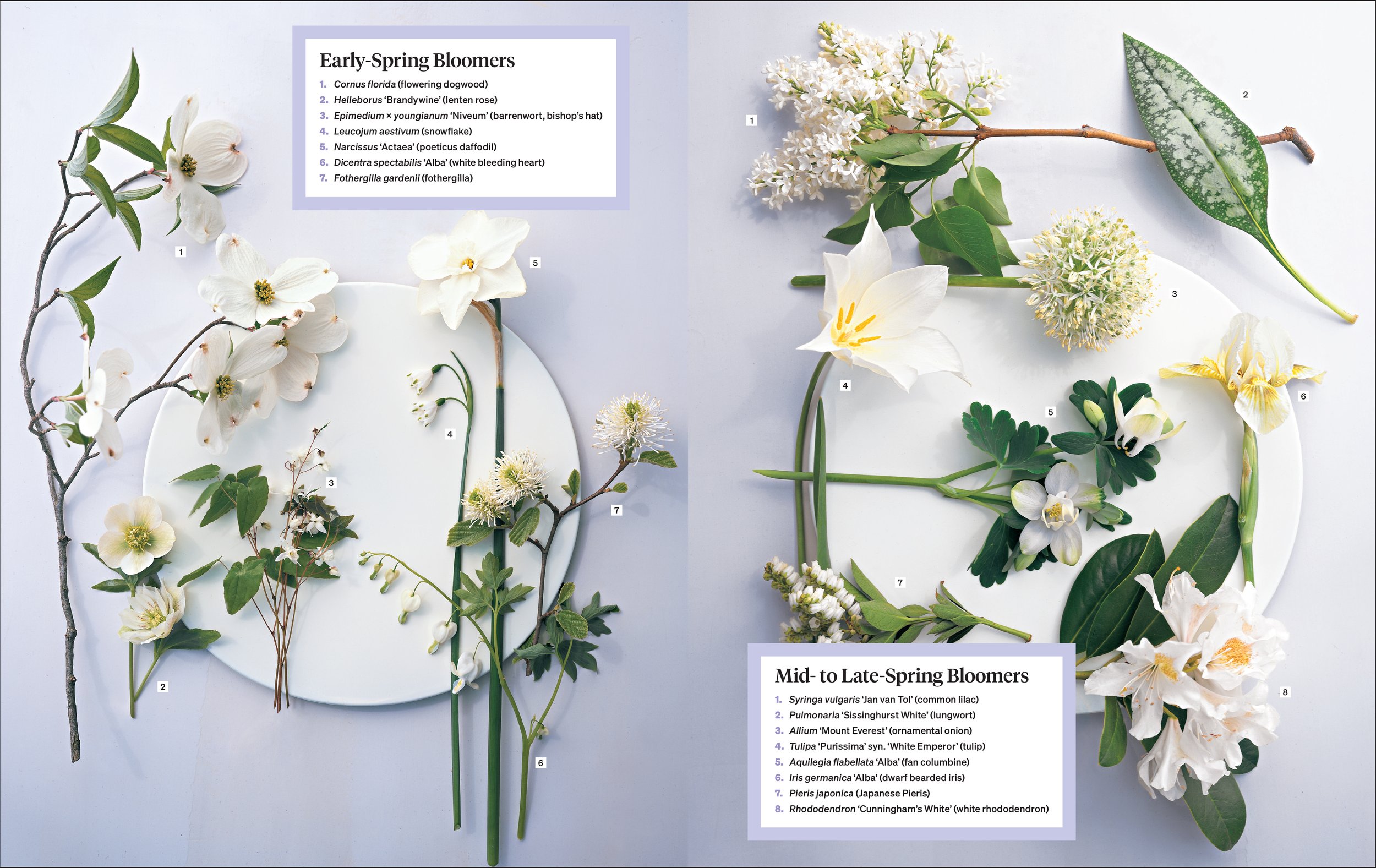 MS GARDENING_5p_v1-16.jpg