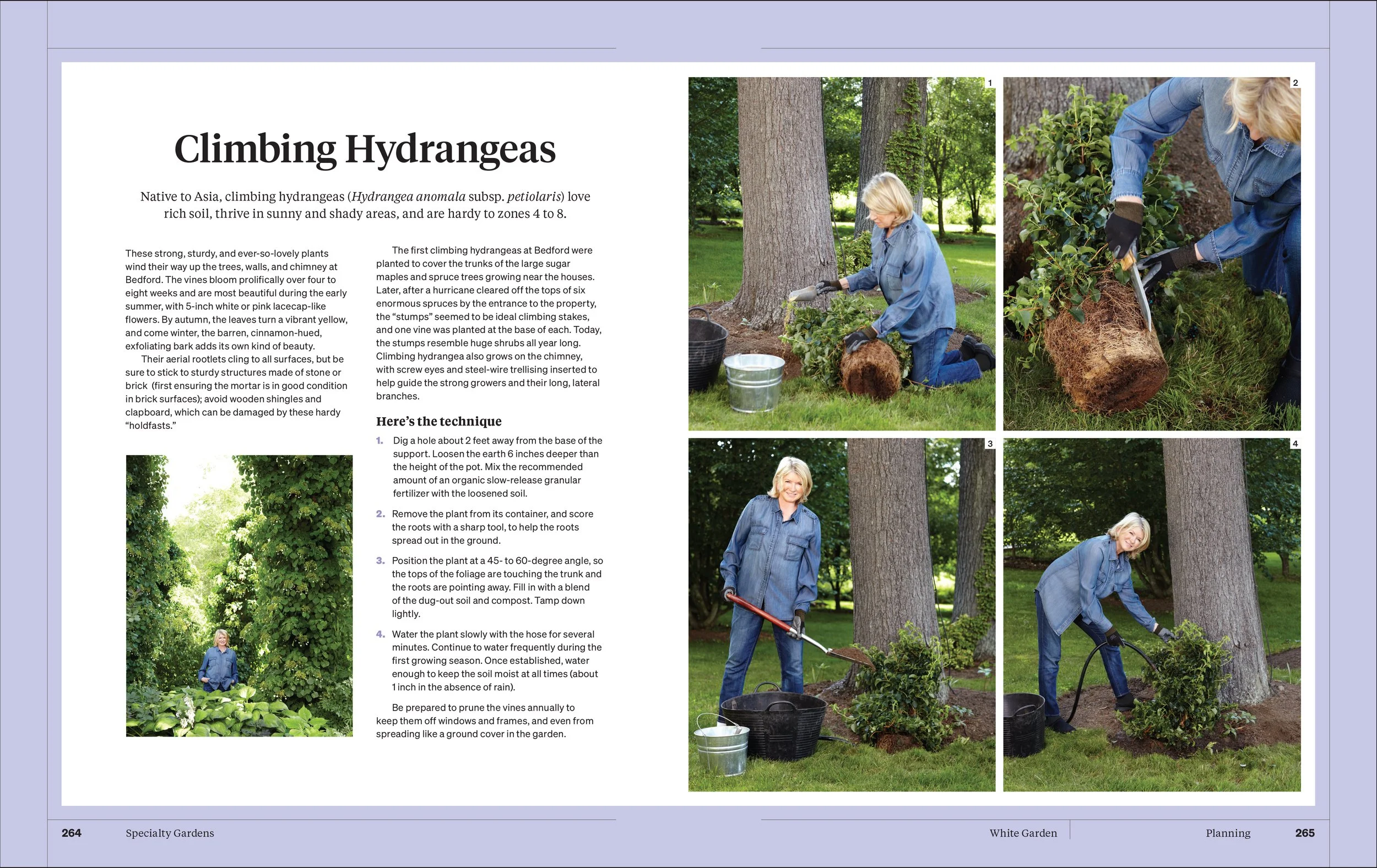 MS GARDENING_5p_v1-17.jpg
