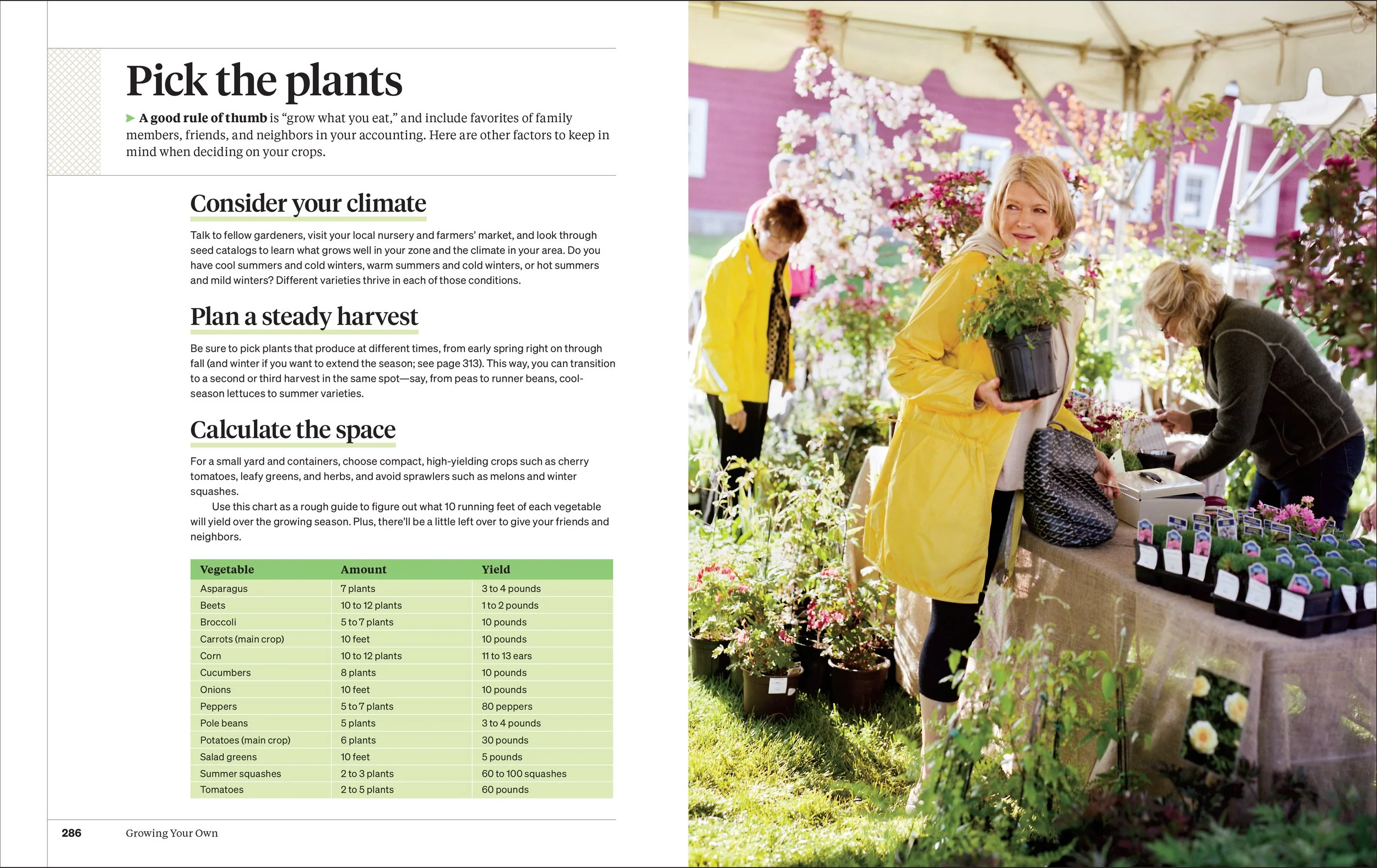 MS GARDENING_5p_v1-19.jpg