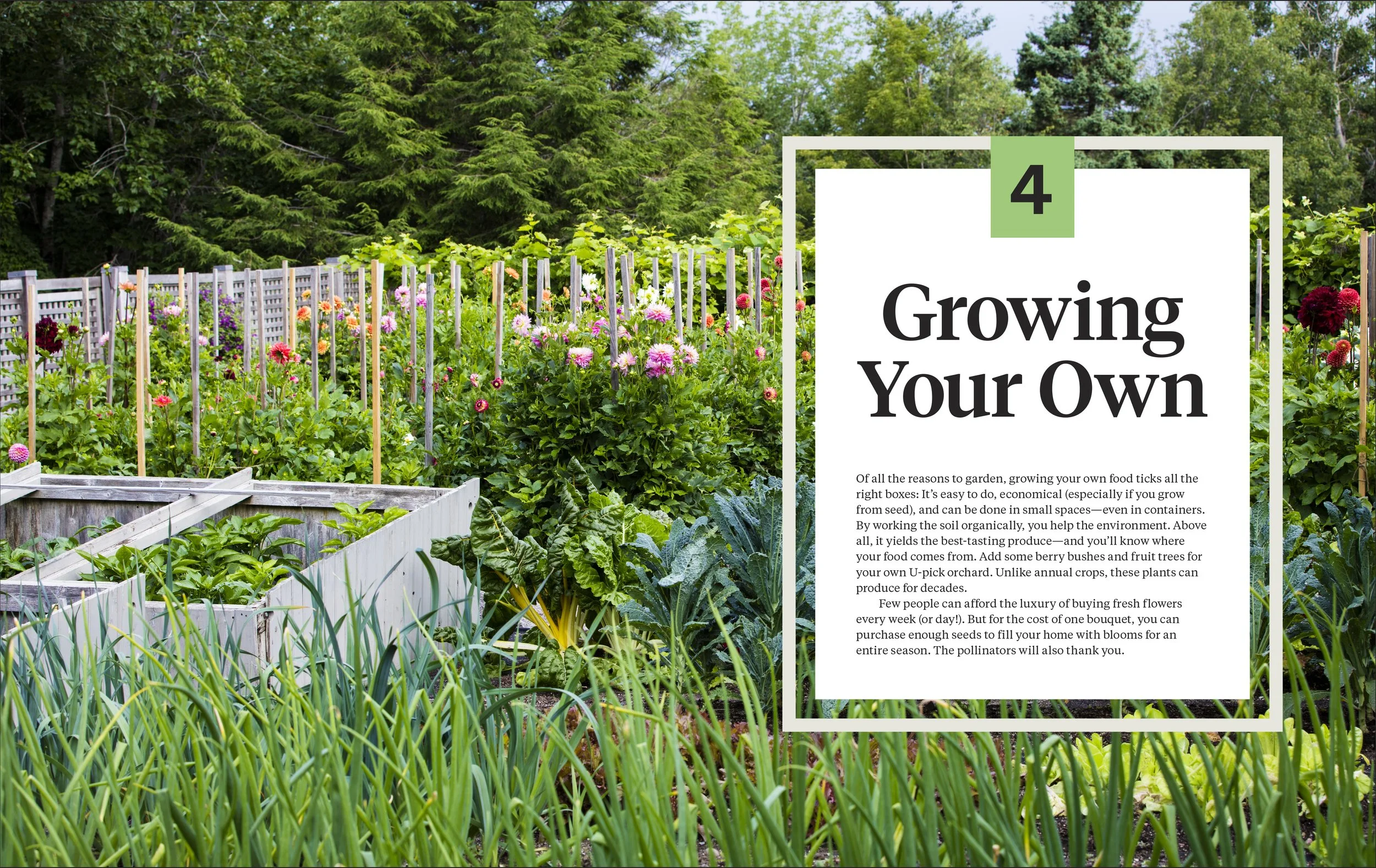 MS GARDENING_5p_v1-18.jpg
