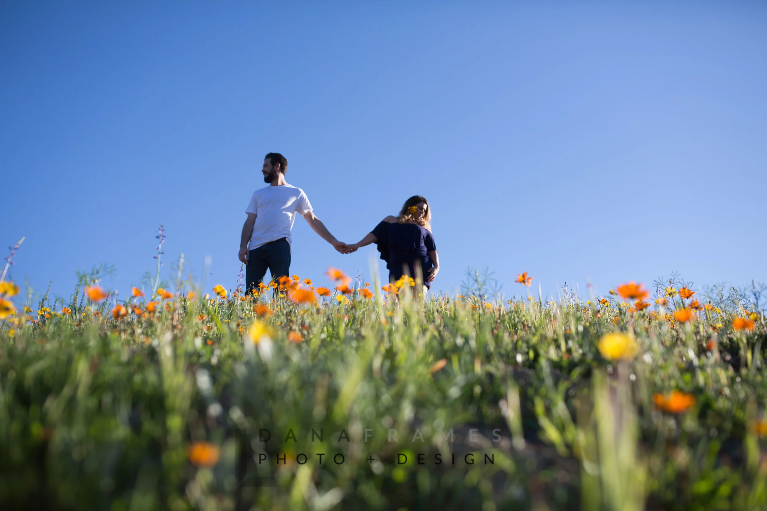 Where to find the spring blooms in Valley Center, CA