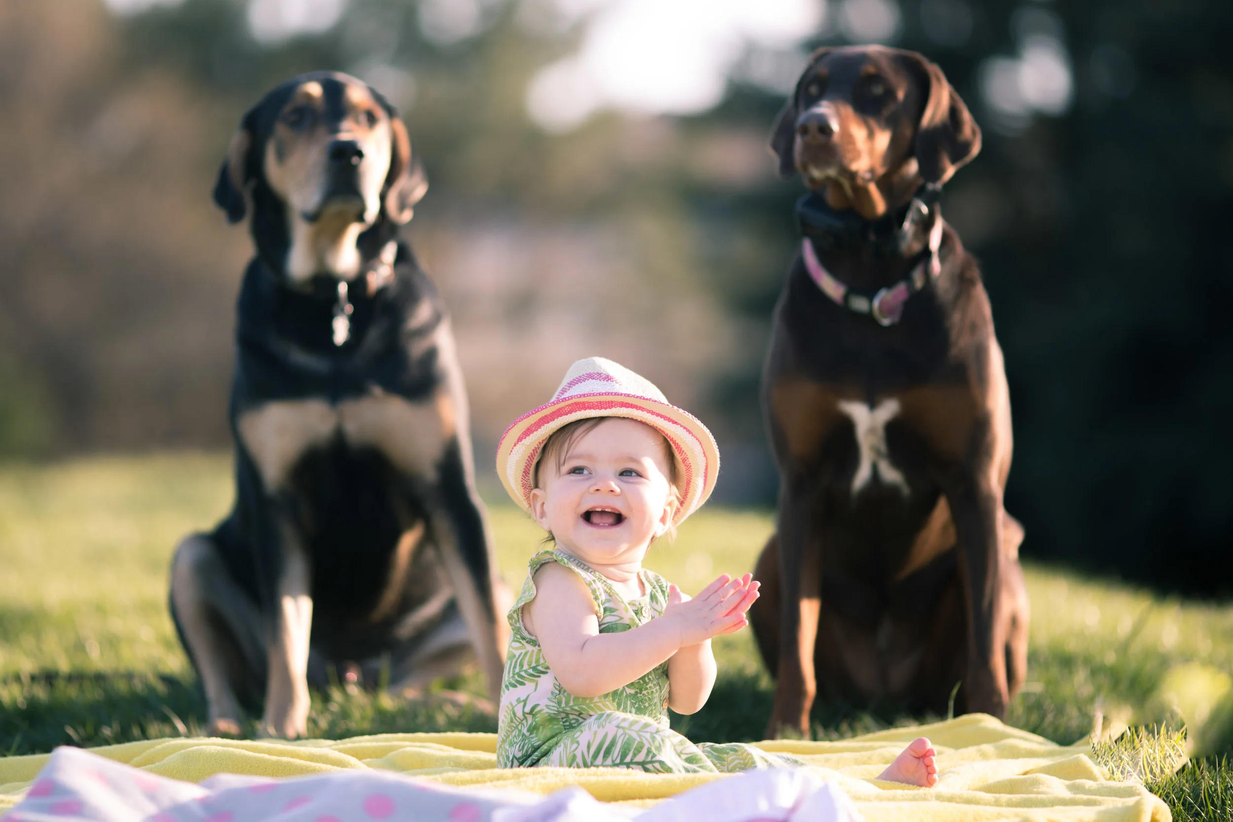 Family Portrait Session