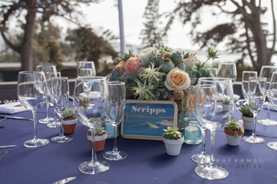 WhiteWedding_DanaFramesPhoto+Design-677.jpg