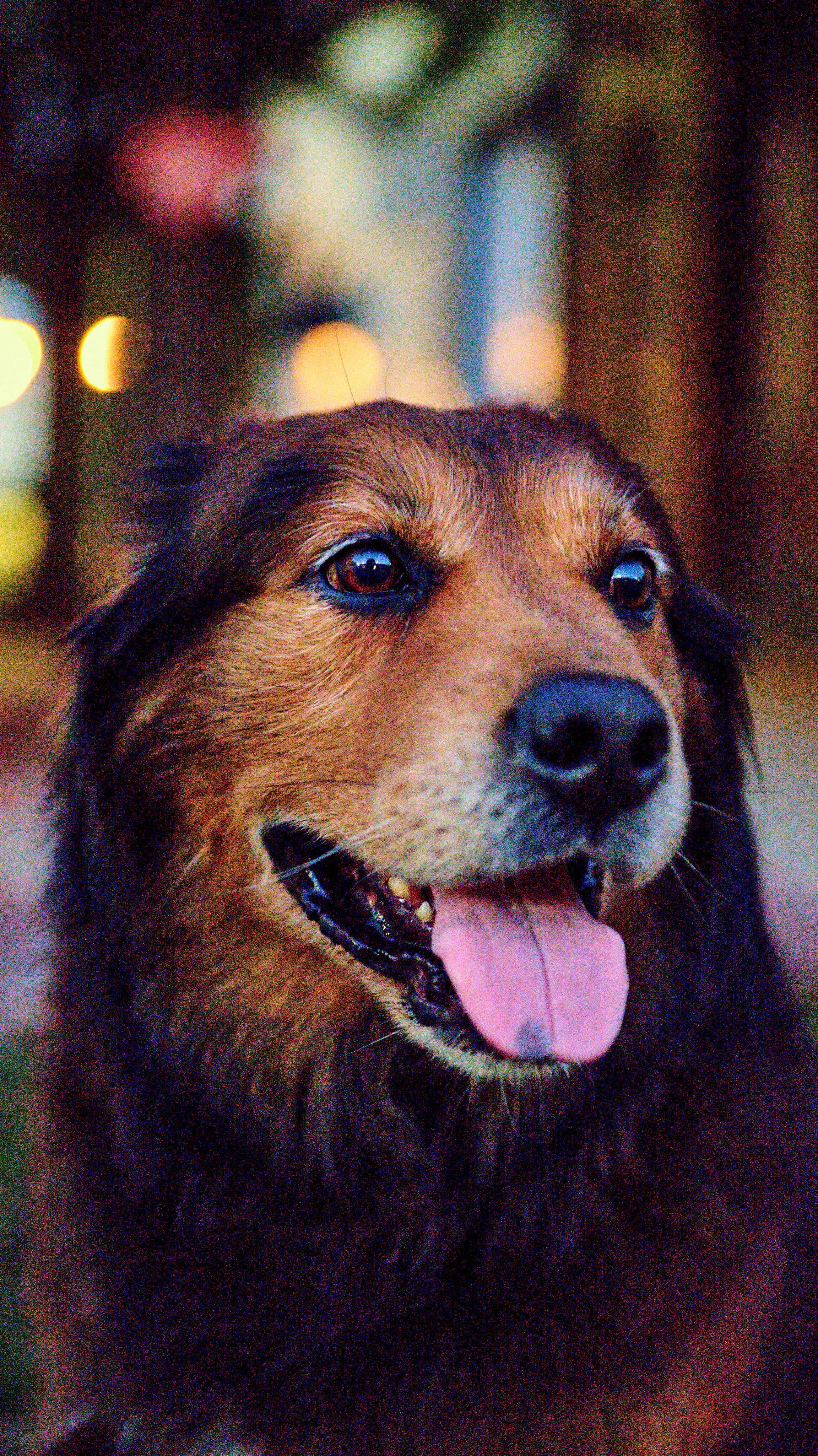 11.08.25 Fall in Birmingham-DMS_1069.jpg