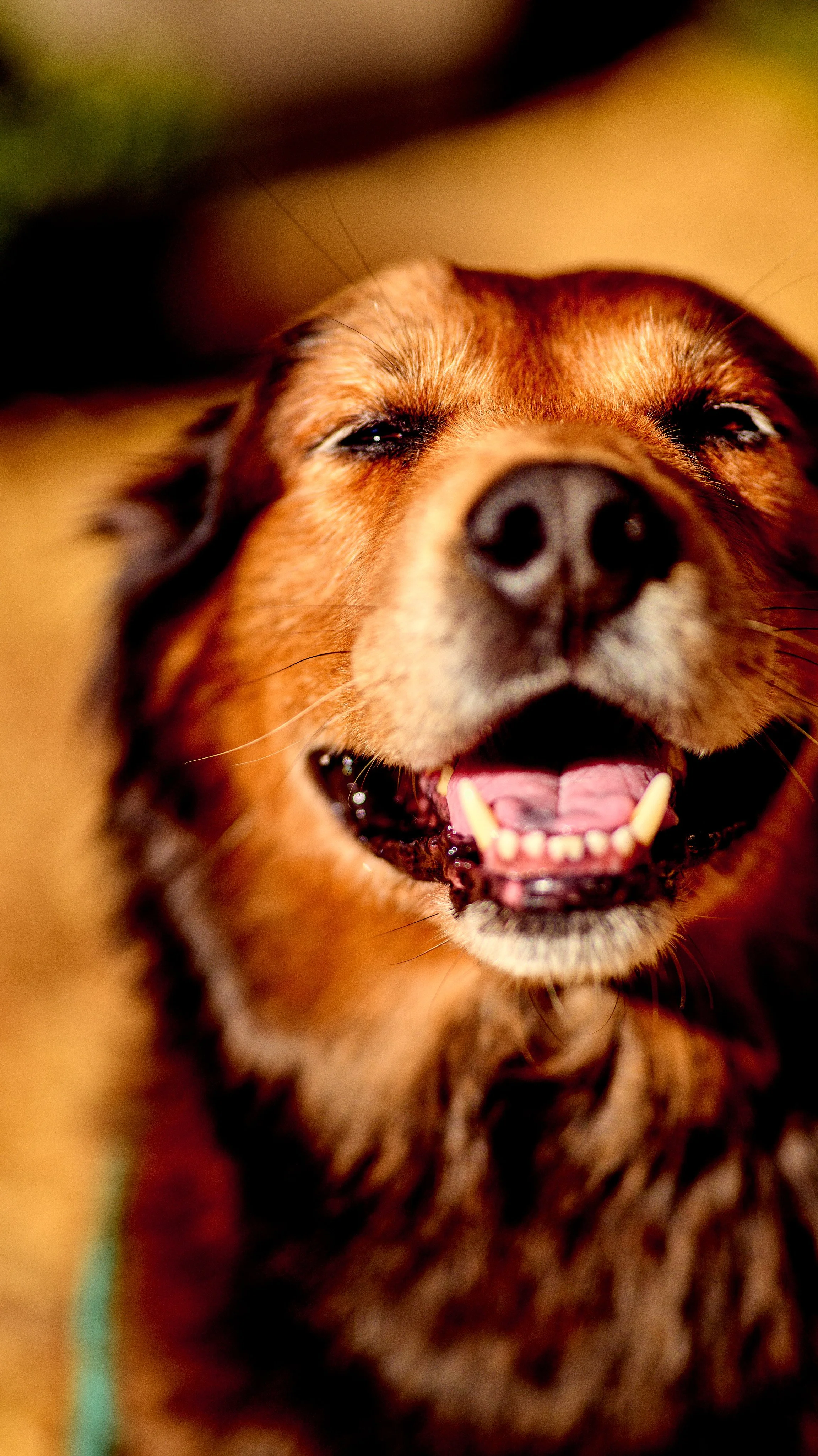 11.09.25 Fall in Birmingham-DMS_1092.jpg