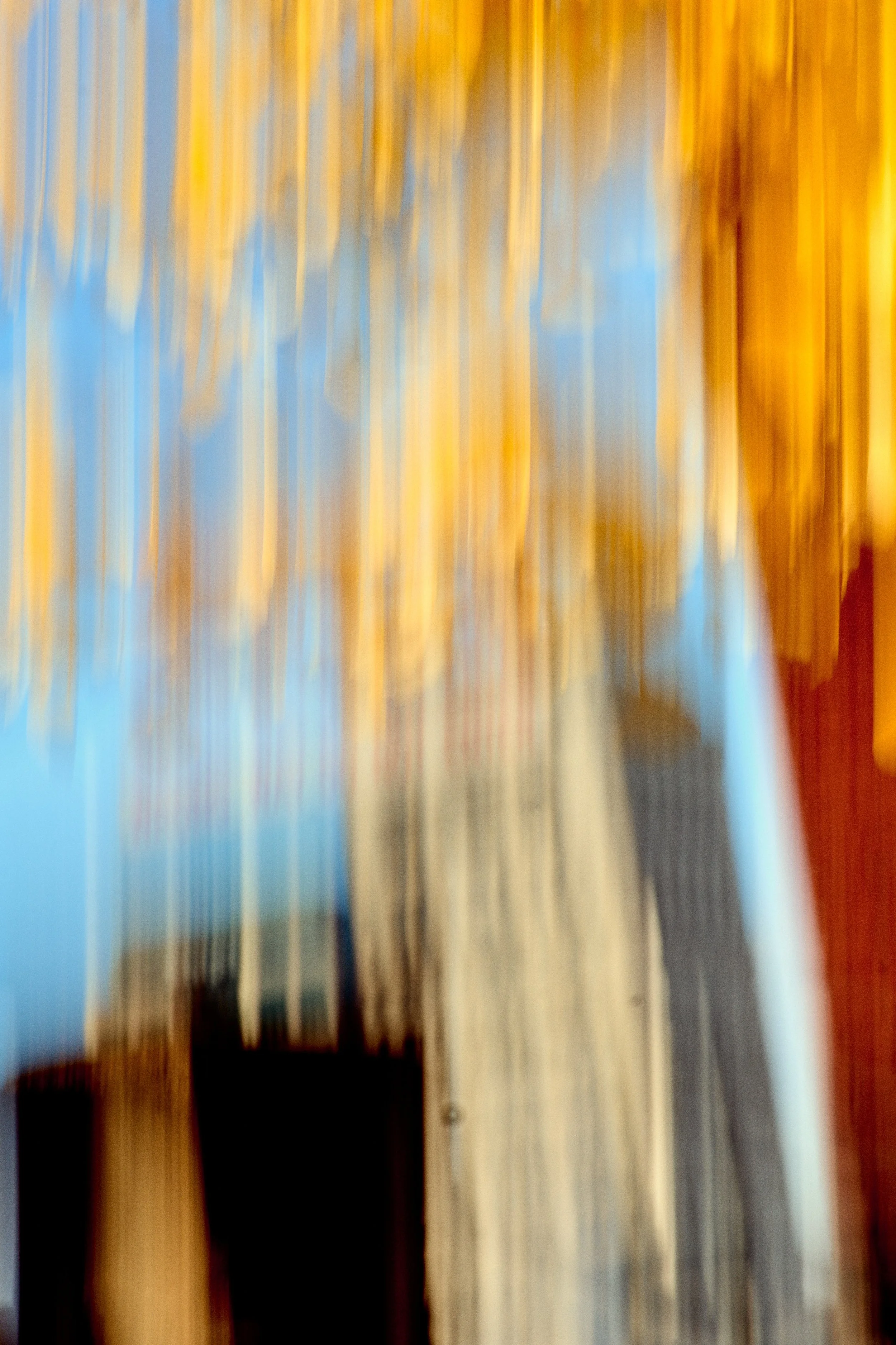 11.09.25 Fall in Birmingham-DMS_1096.jpg