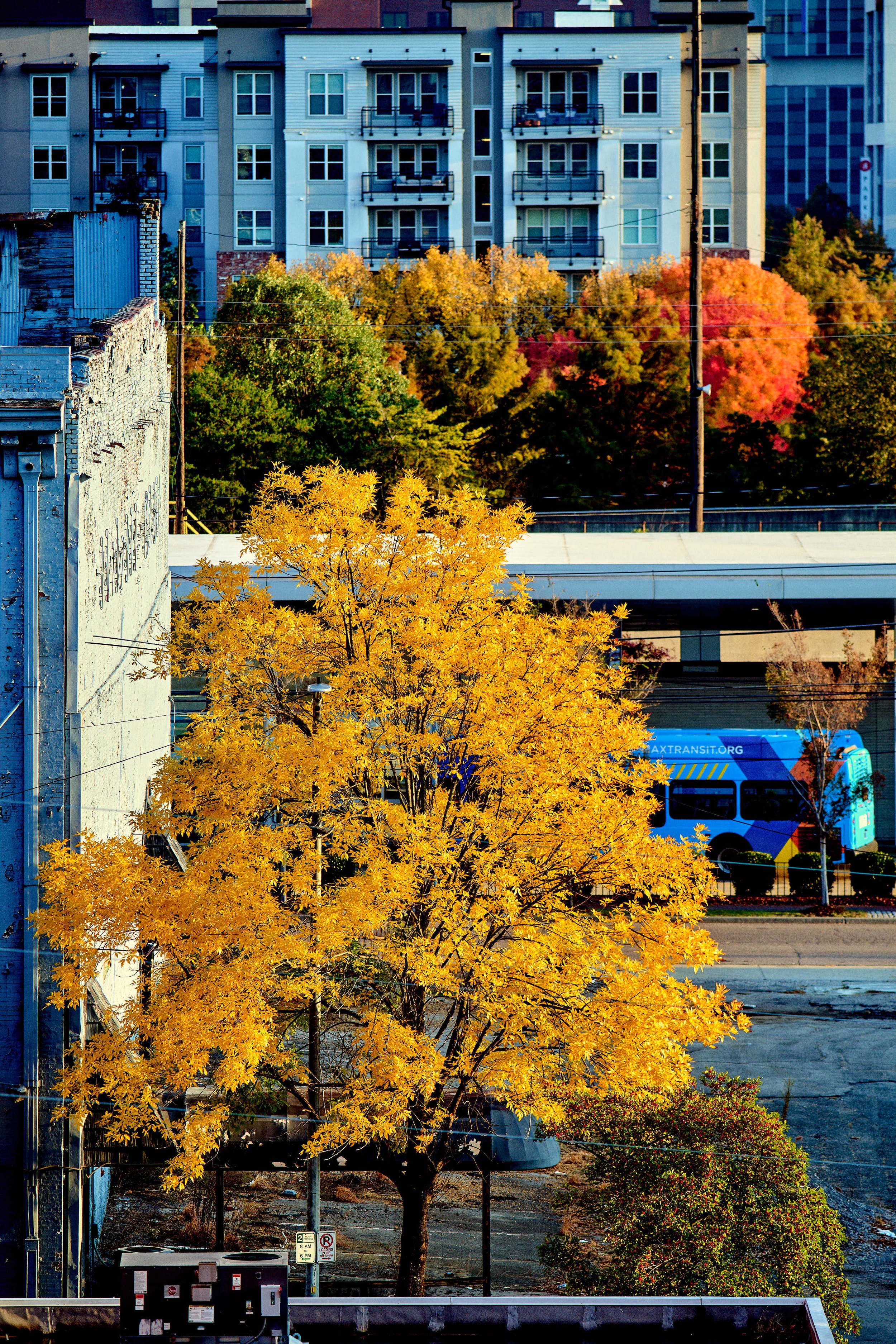 11.08.25 Fall in Birmingham-DMS_1025.jpg