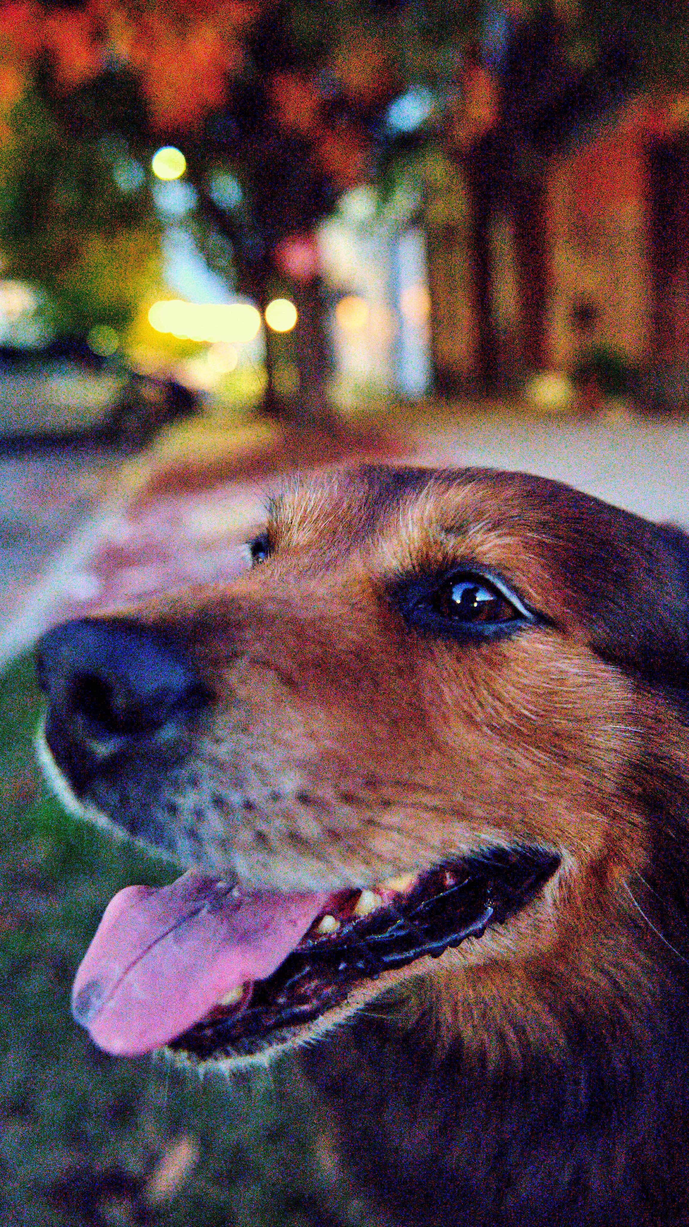 11.08.25 Fall in Birmingham-DMS_1065.jpg