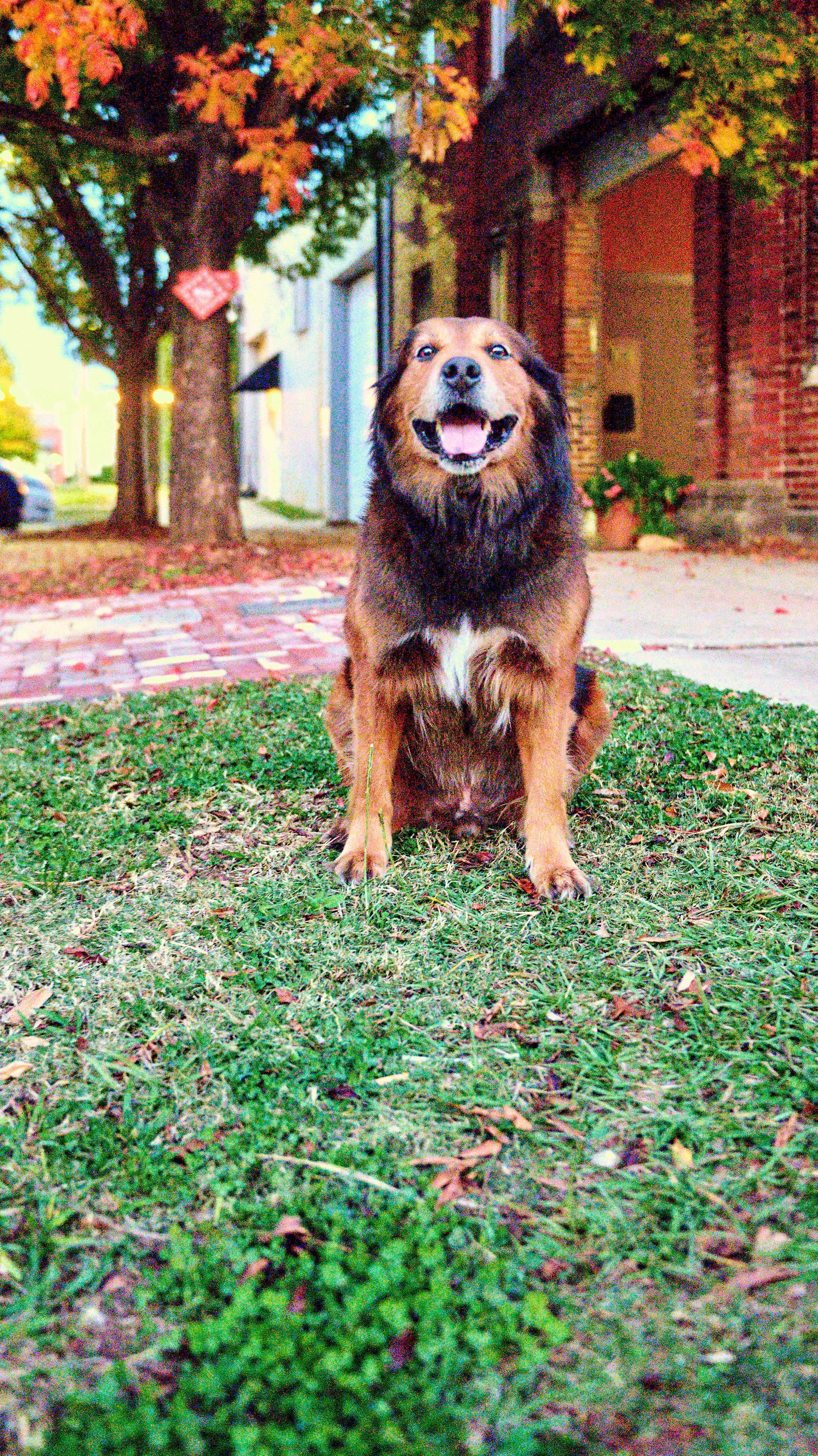 11.08.25 Fall in Birmingham-DMS_1054.jpg