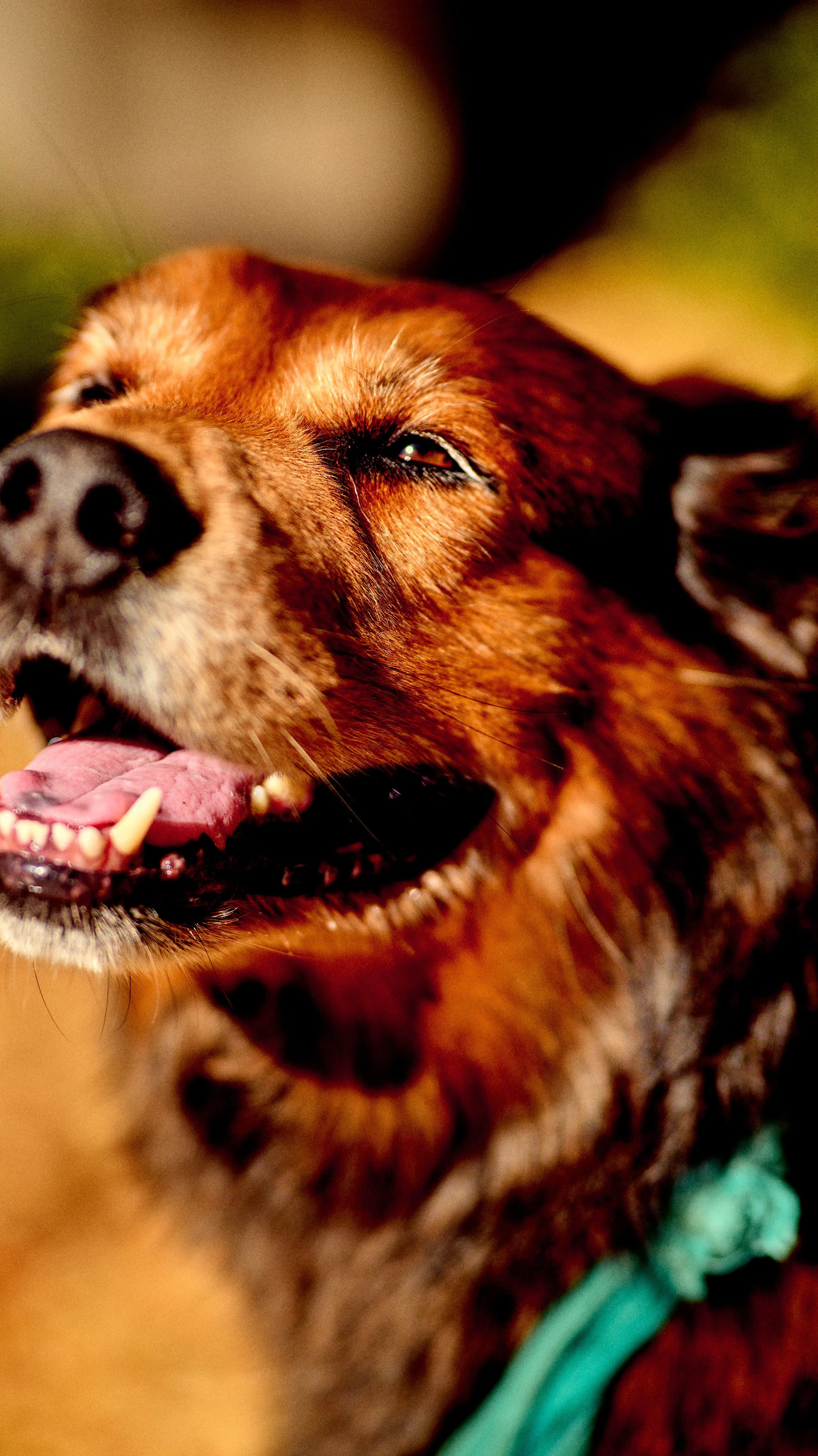 11.09.25 Fall in Birmingham-DMS_1091.jpg