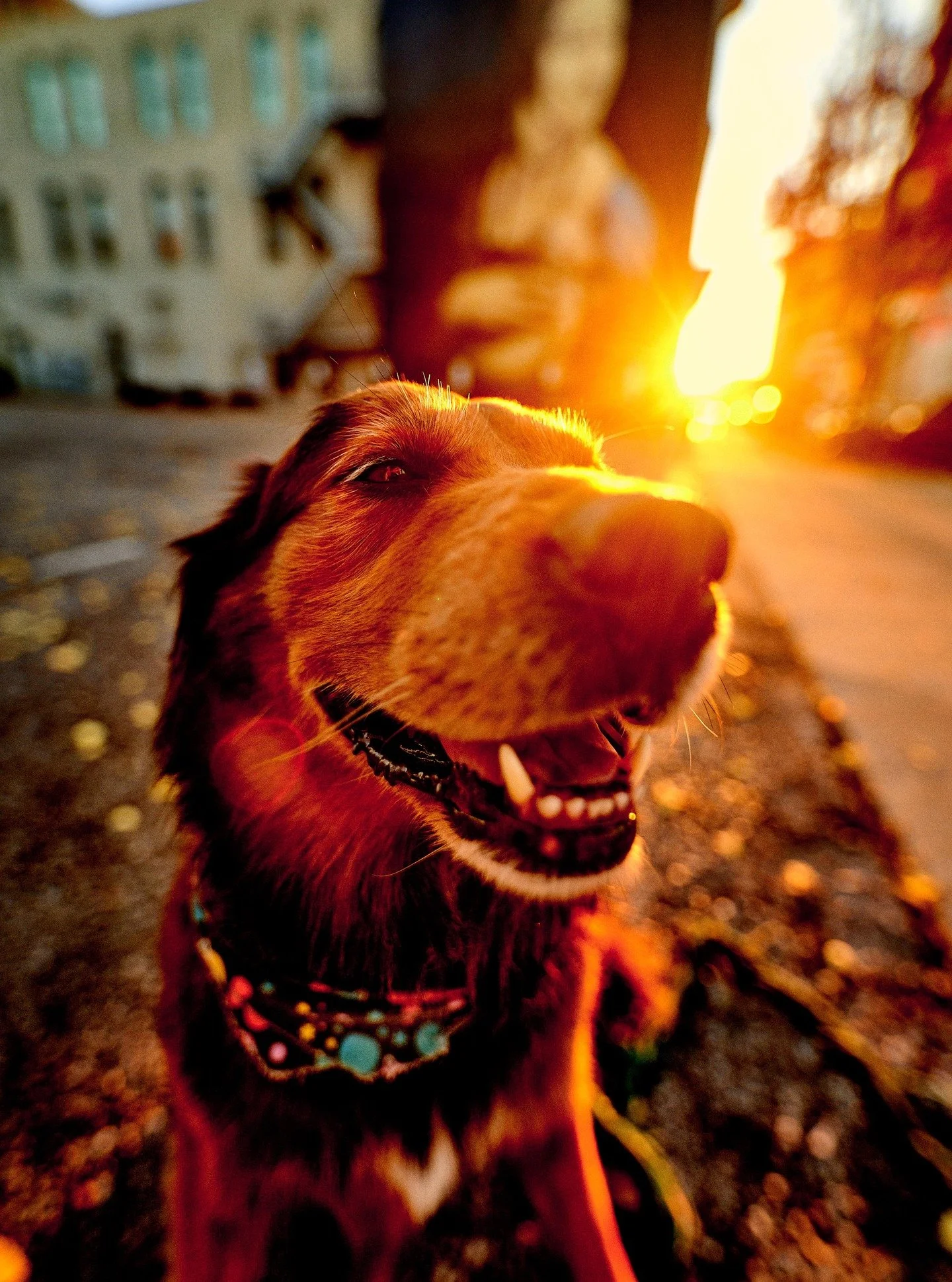 getting close to new art and novel sunsets