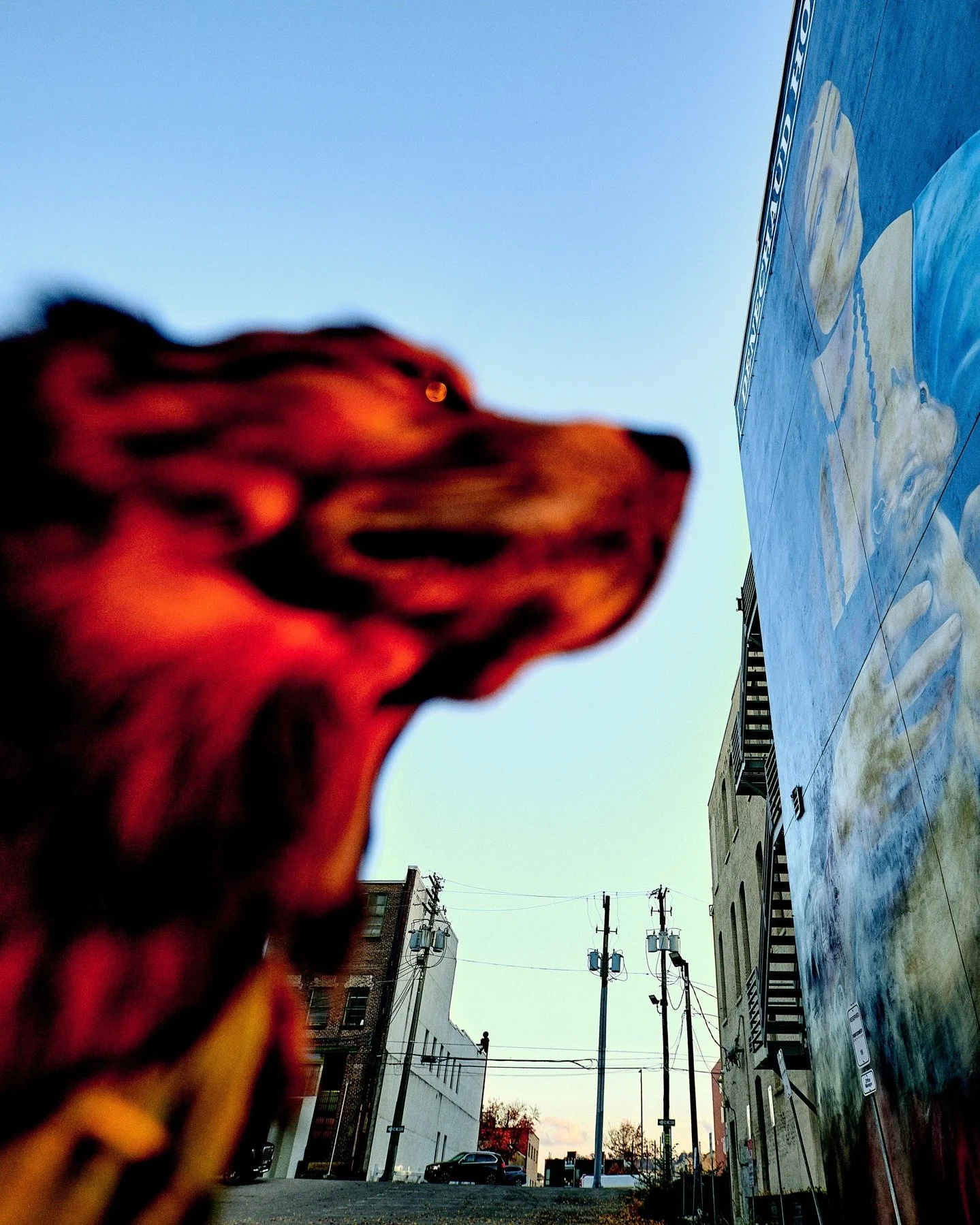 Mars appears as a galaxy, his form dissolving into shimmer and stardust. His eye turning into a bokeh of mammoth form sees Aries, nurtured by Venus in her elegant facade, and drifts beyond the stare of twilight, his domain in perfect order.