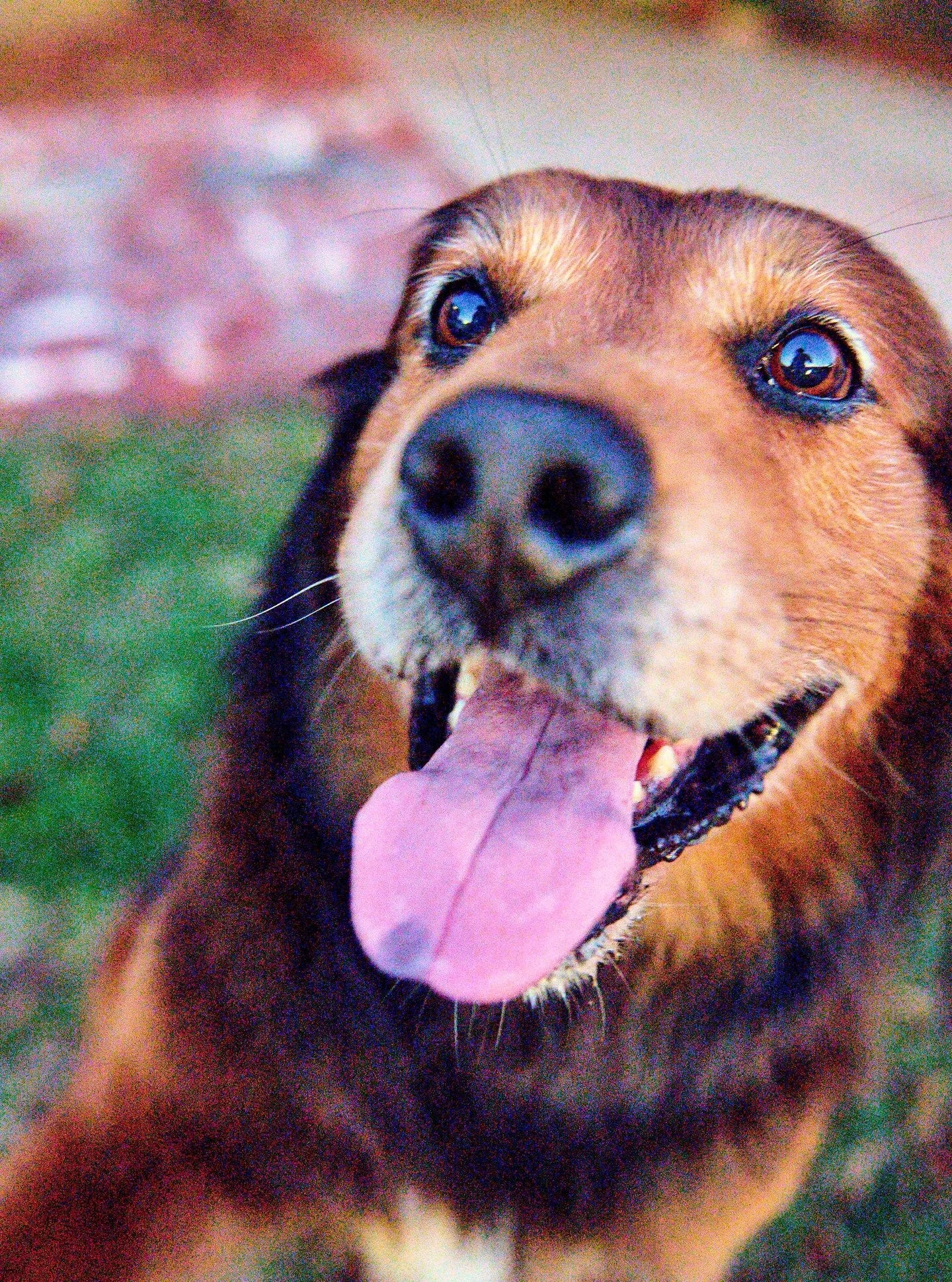 What am i supposed to do, just love you forever and ever without end?

Yes?

Okay, fine; you win. I will.