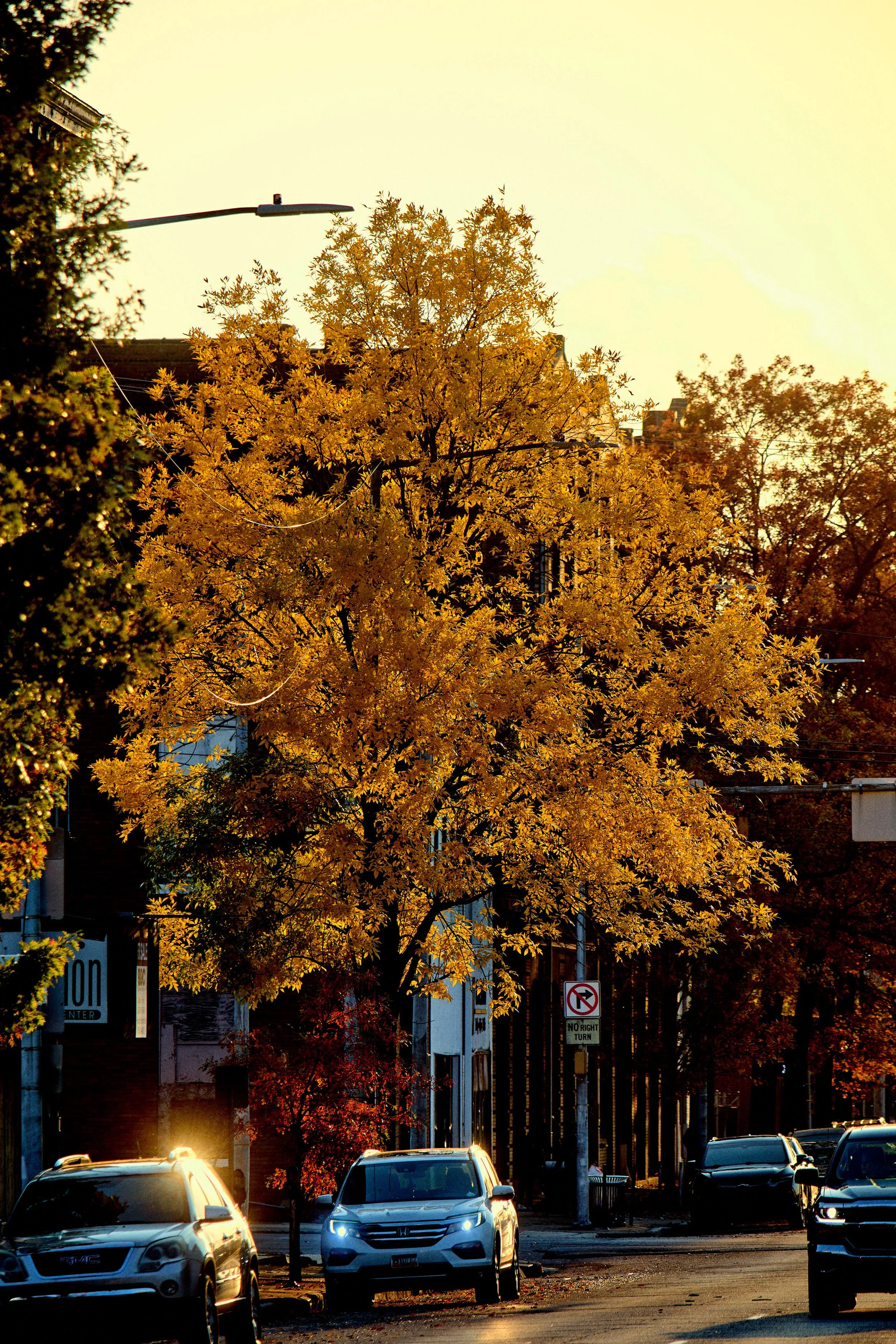 11.08.25 Fall in Birmingham-DMS_1030.jpg