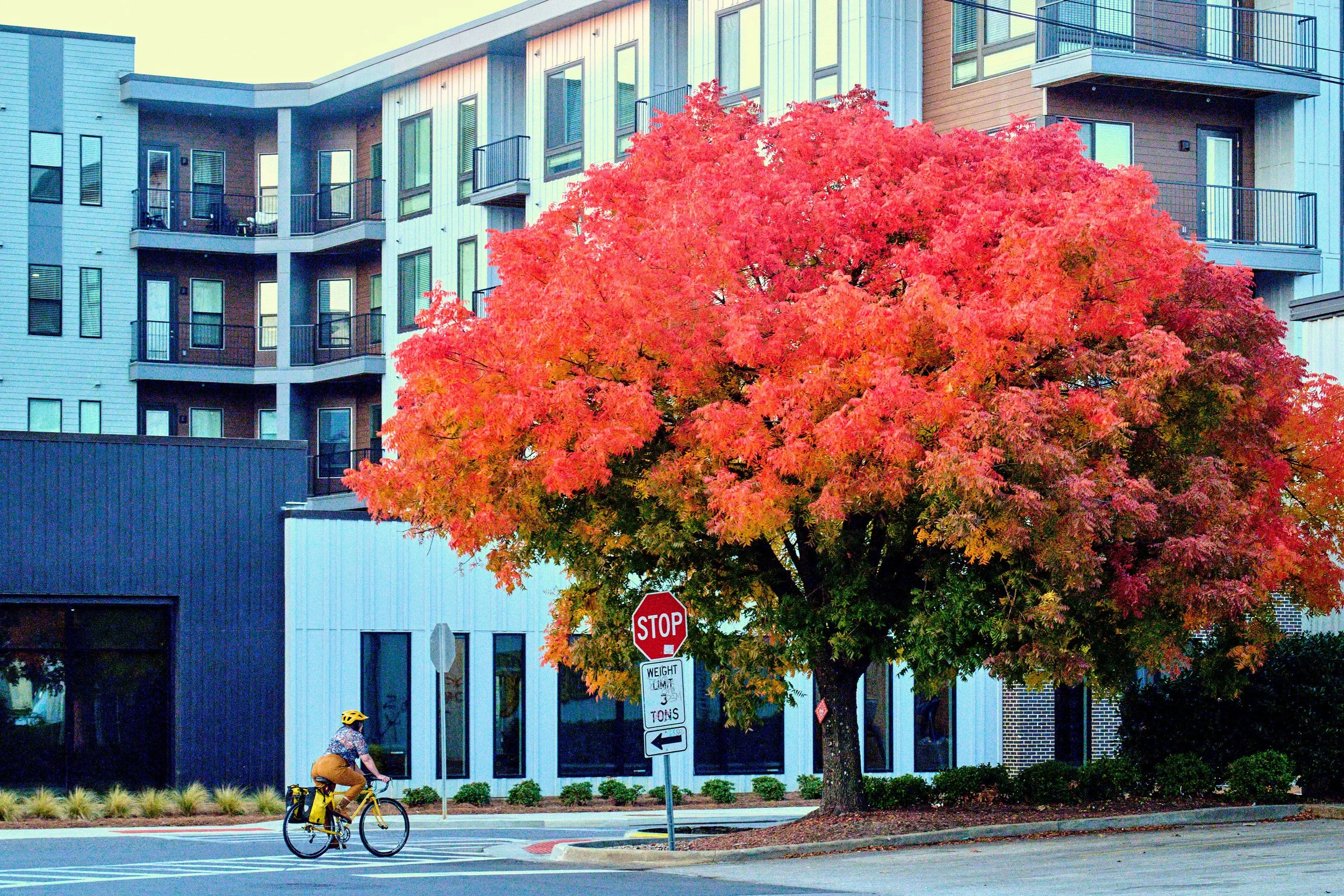 11.08.25 Fall in Birmingham-DMS_1043.jpg