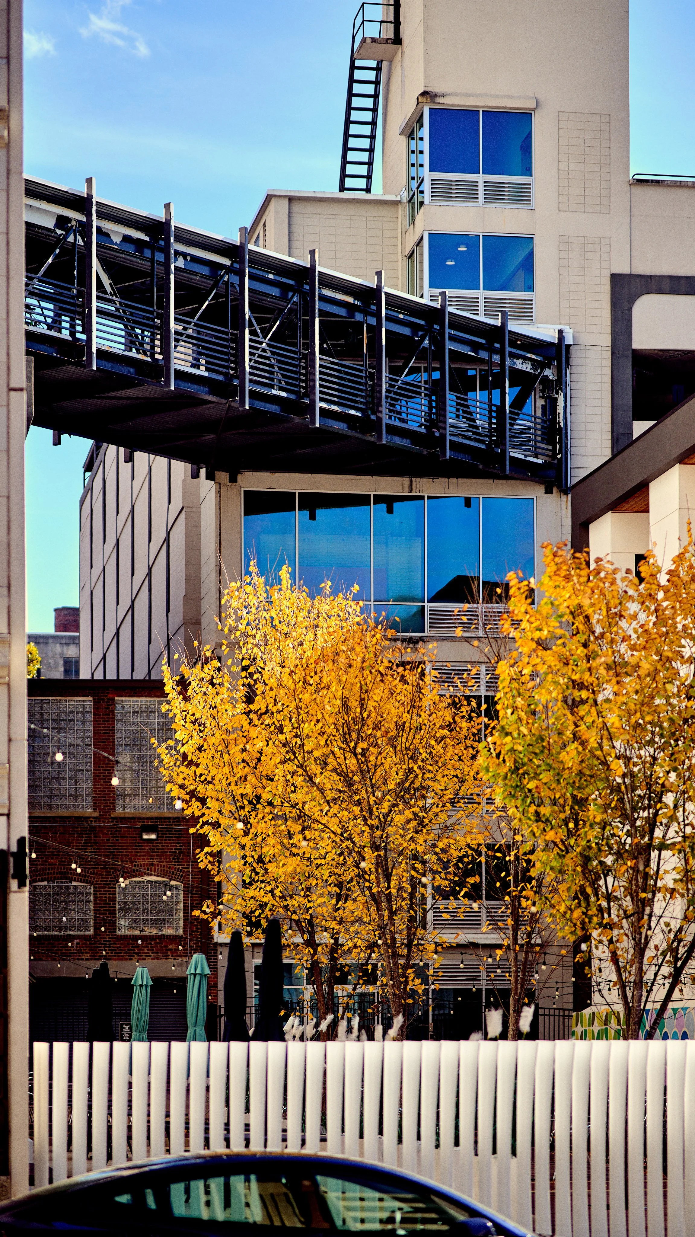 11.09.25 Fall in Birmingham-DMS_1081.jpg