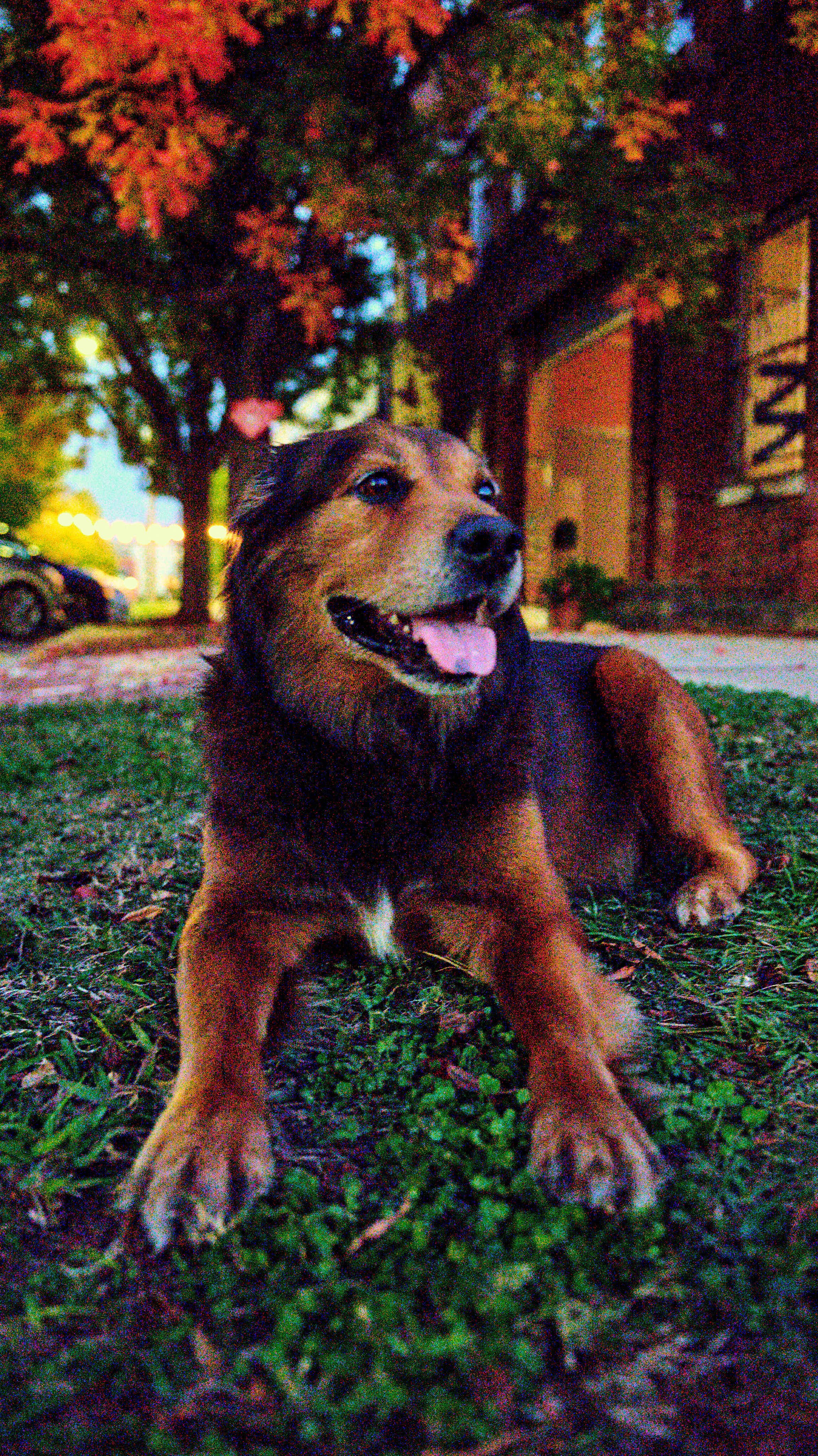 11.08.25 Fall in Birmingham-DMS_1071.jpg