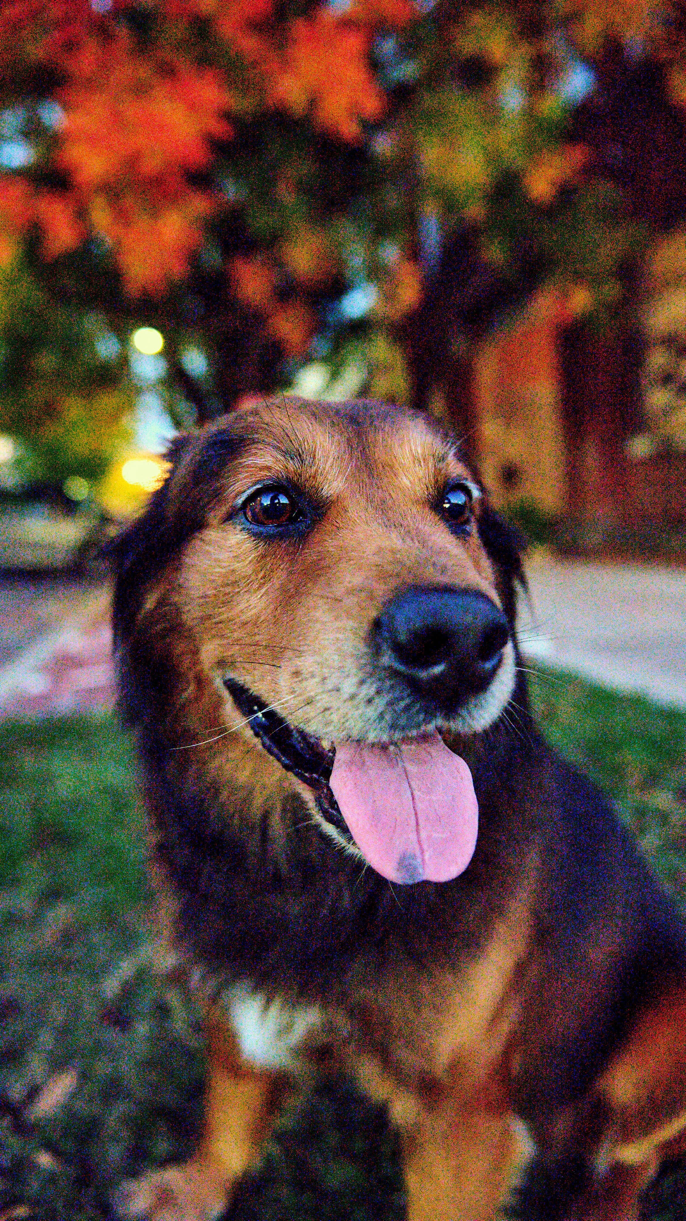 11.08.25 Fall in Birmingham-DMS_1067.jpg