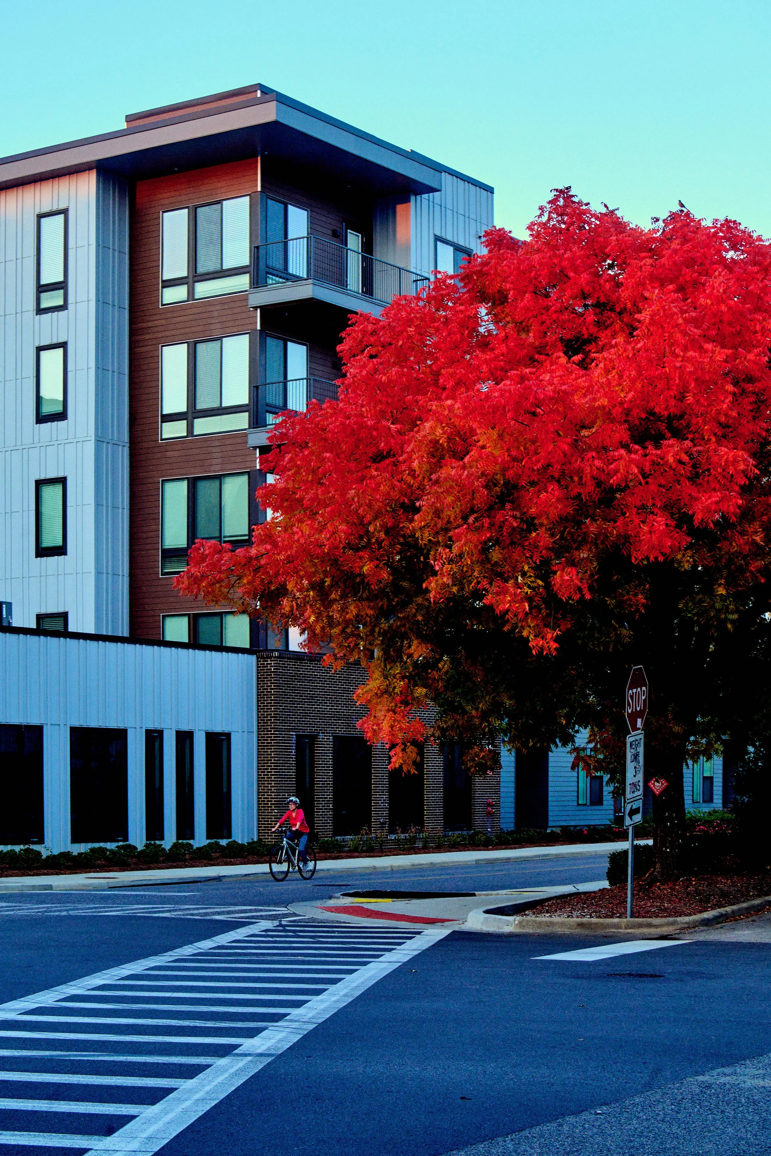 11.08.25 Fall in Birmingham-DMS_1047.jpg