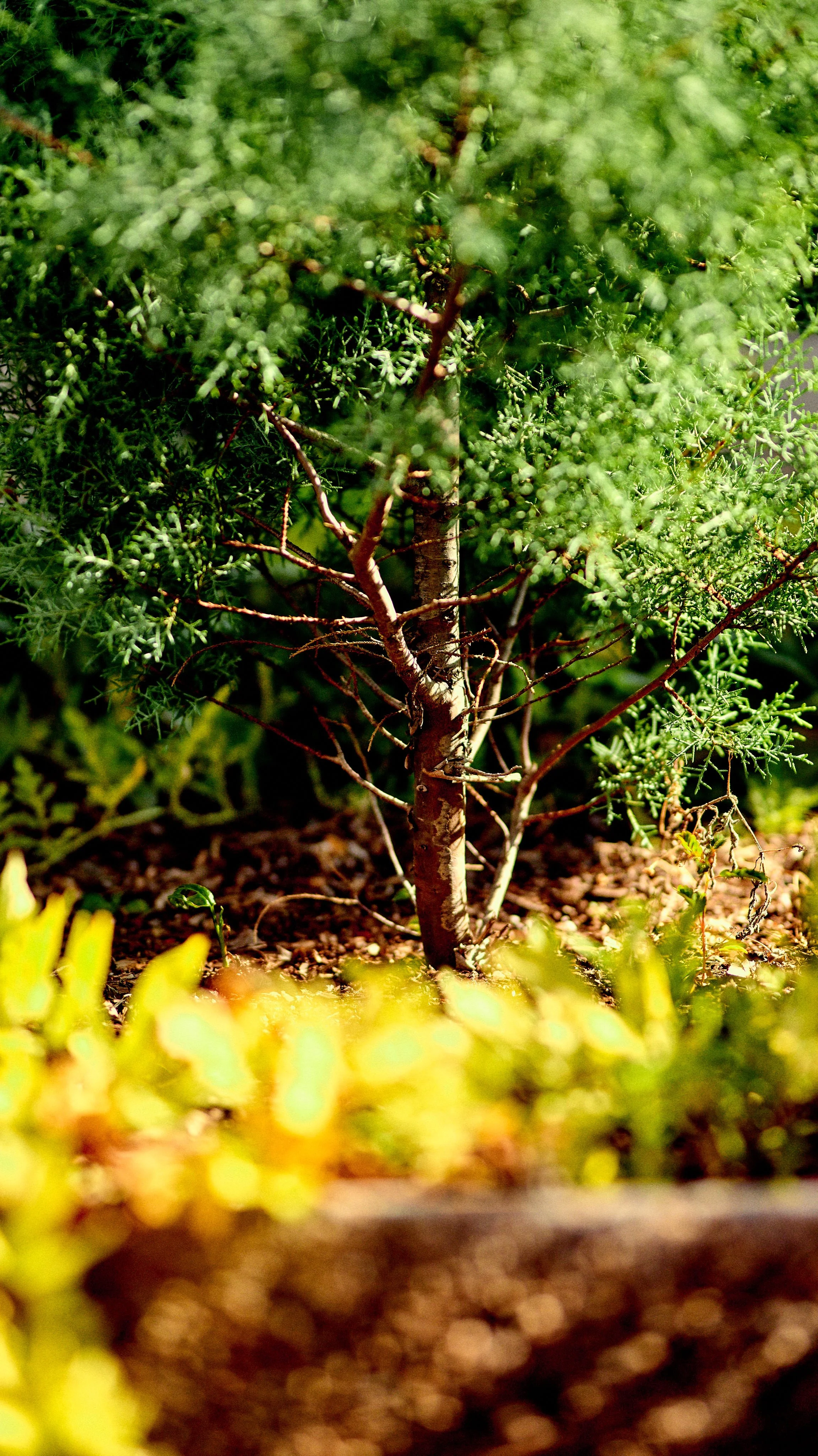 11.09.25 Fall in Birmingham-DMS_1095.jpg