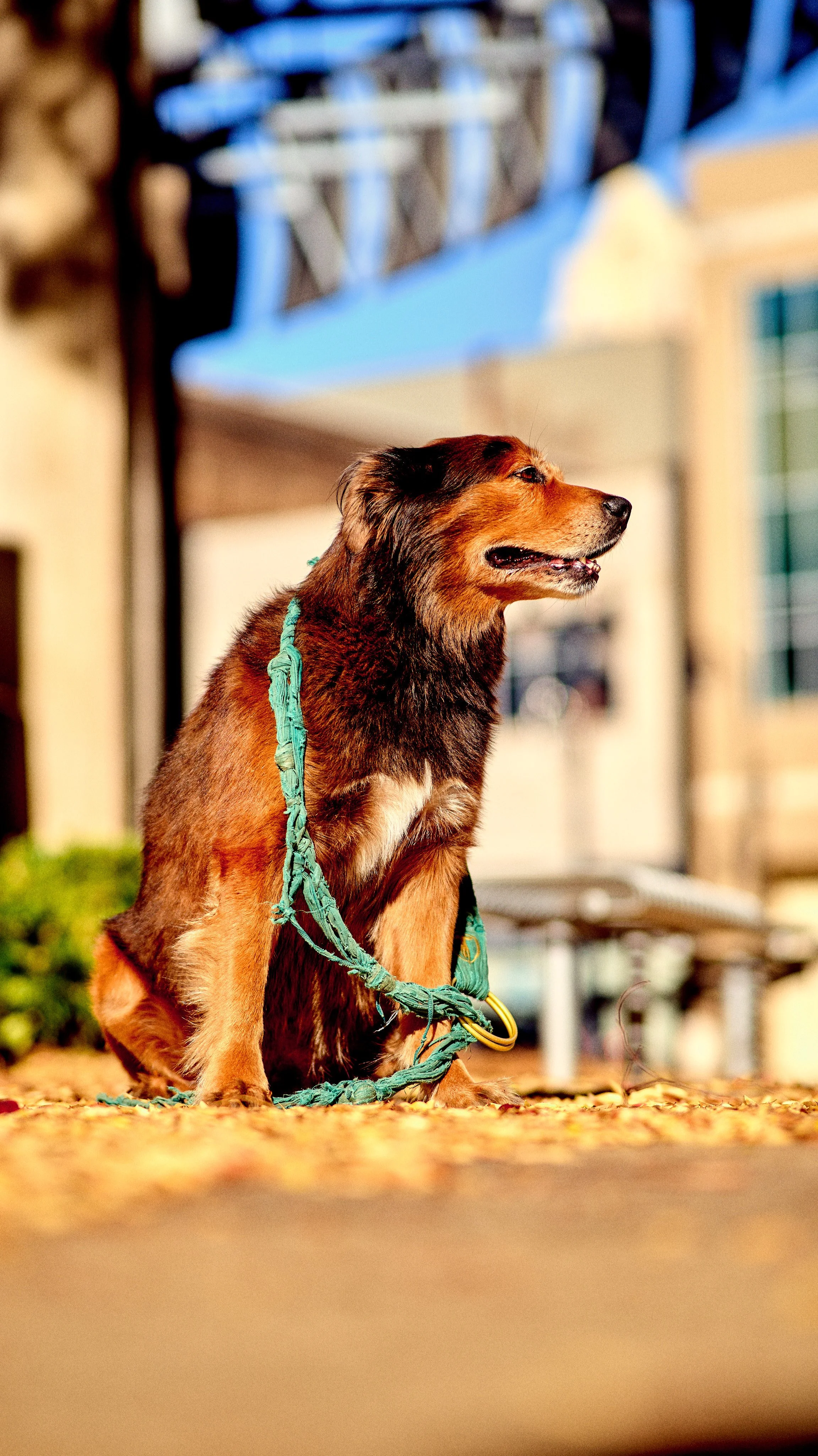 11.09.25 Fall in Birmingham-DMS_1093.jpg