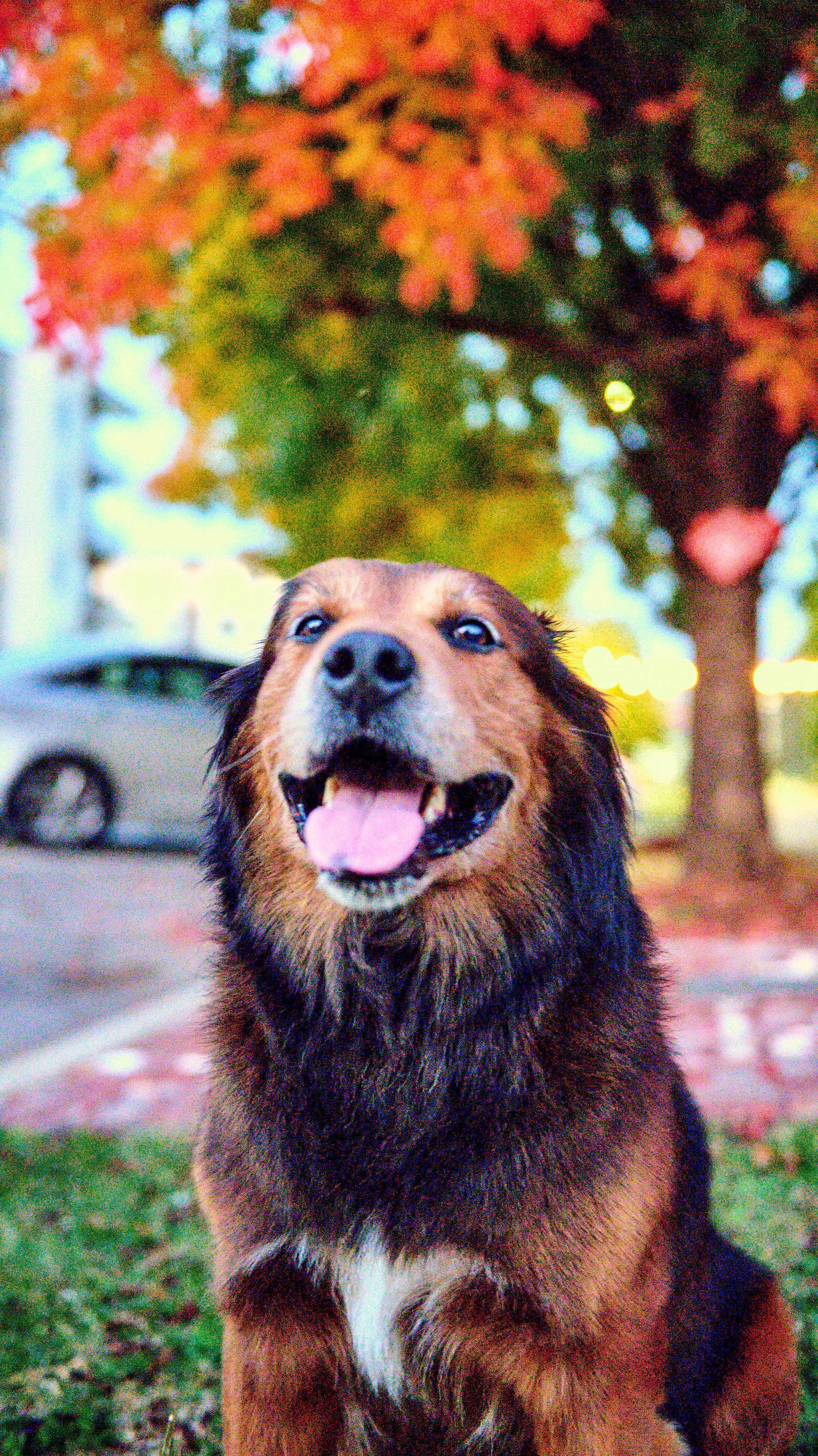 11.08.25 Fall in Birmingham-DMS_1055.jpg