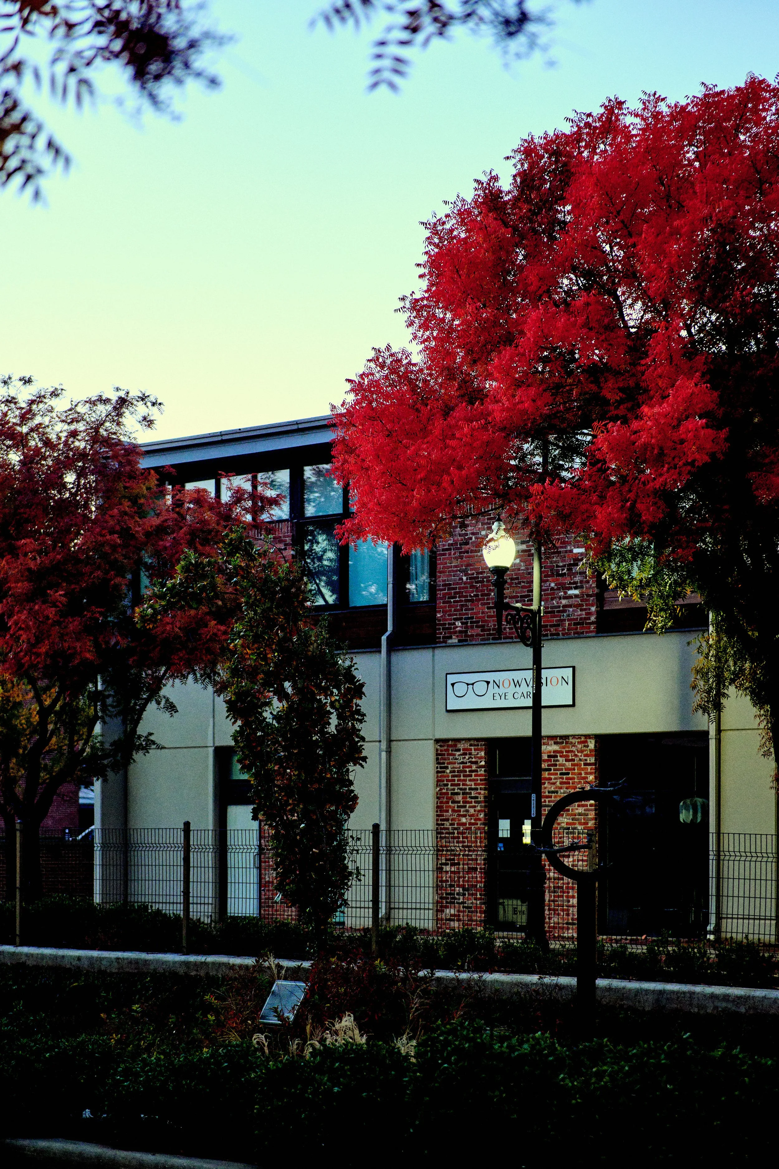 11.08.25 Fall in Birmingham-DMS_1048.jpg