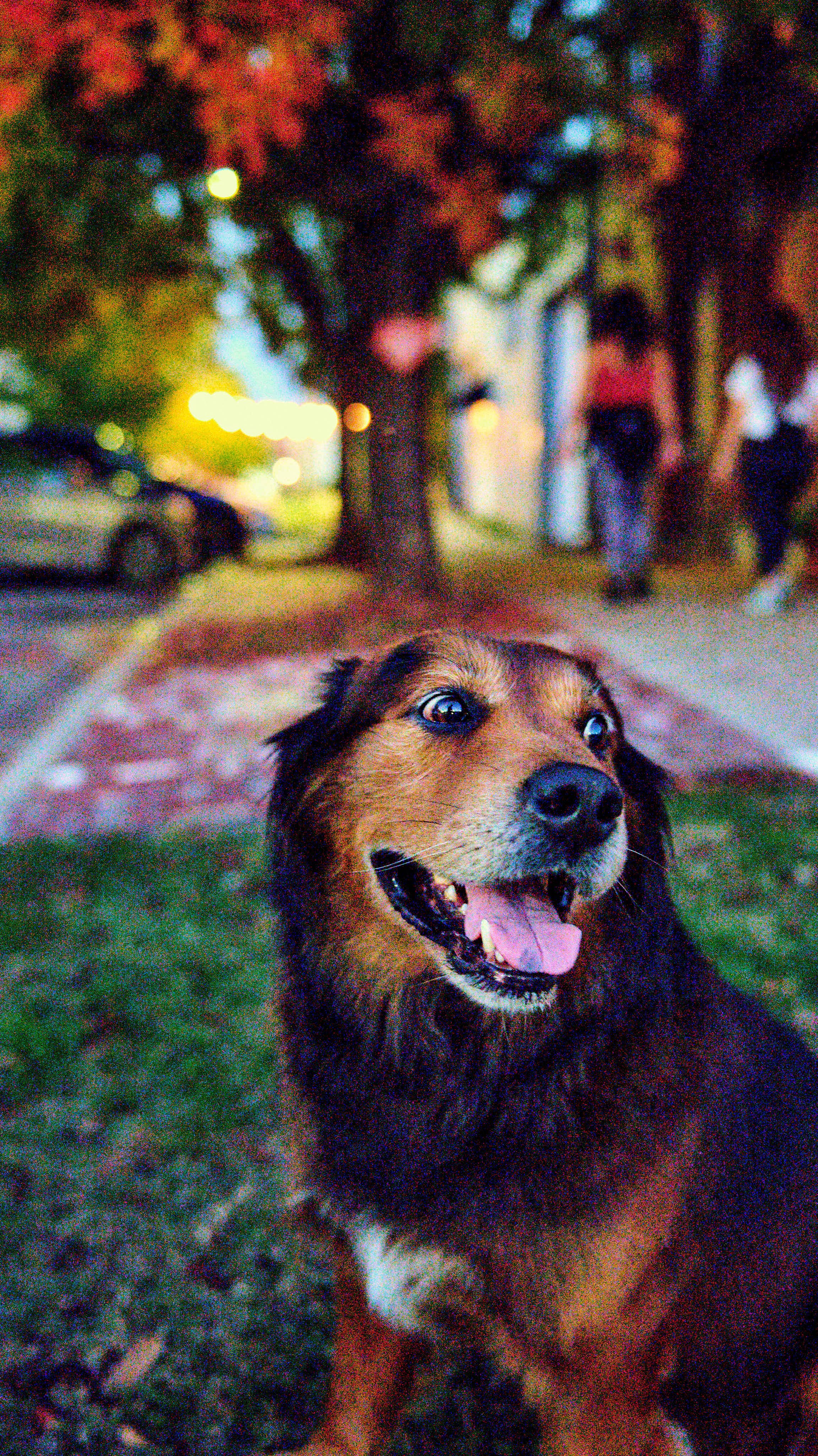 11.08.25 Fall in Birmingham-DMS_1070.jpg