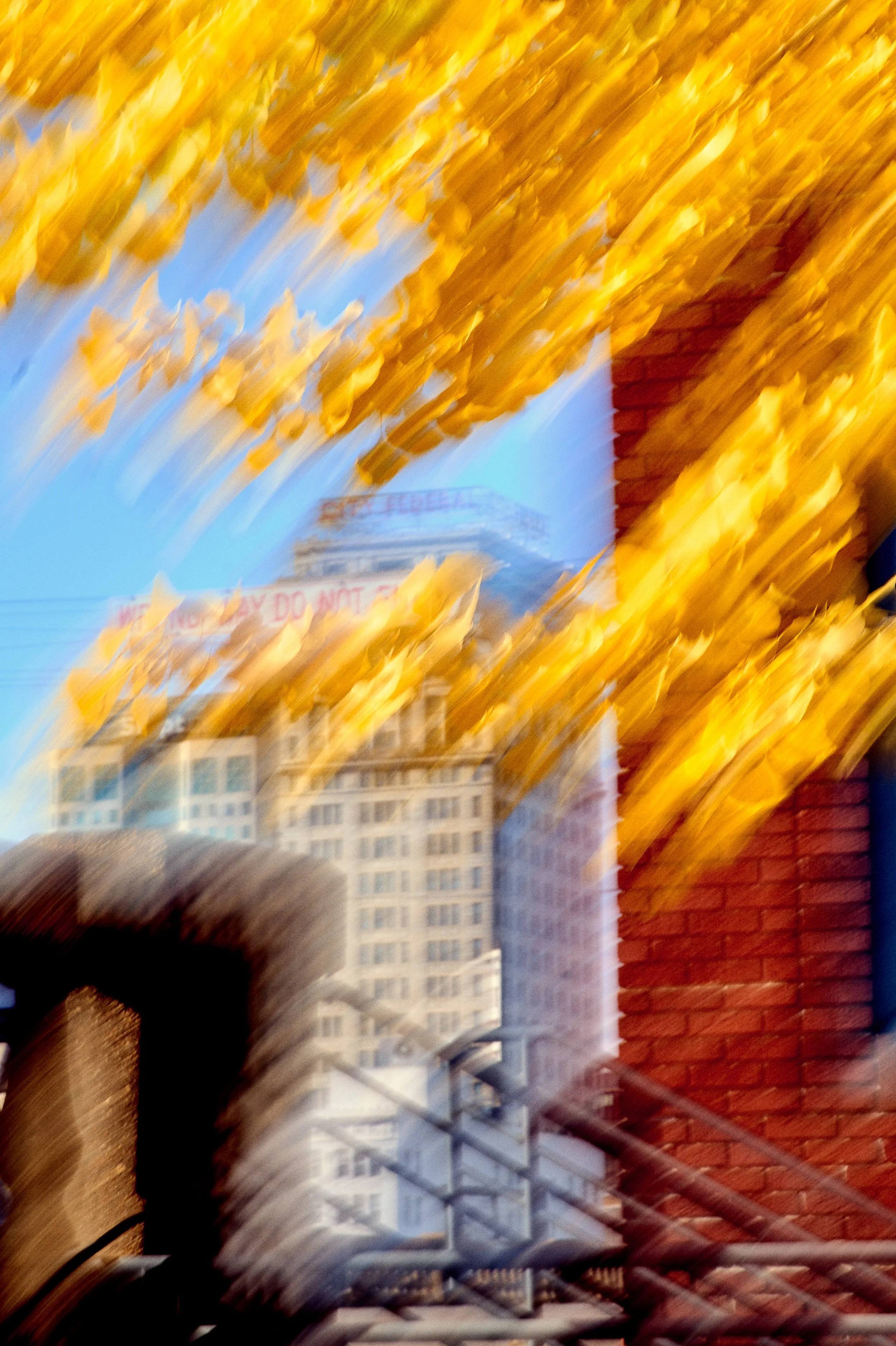 11.09.25 Fall in Birmingham-DMS_1097.jpg