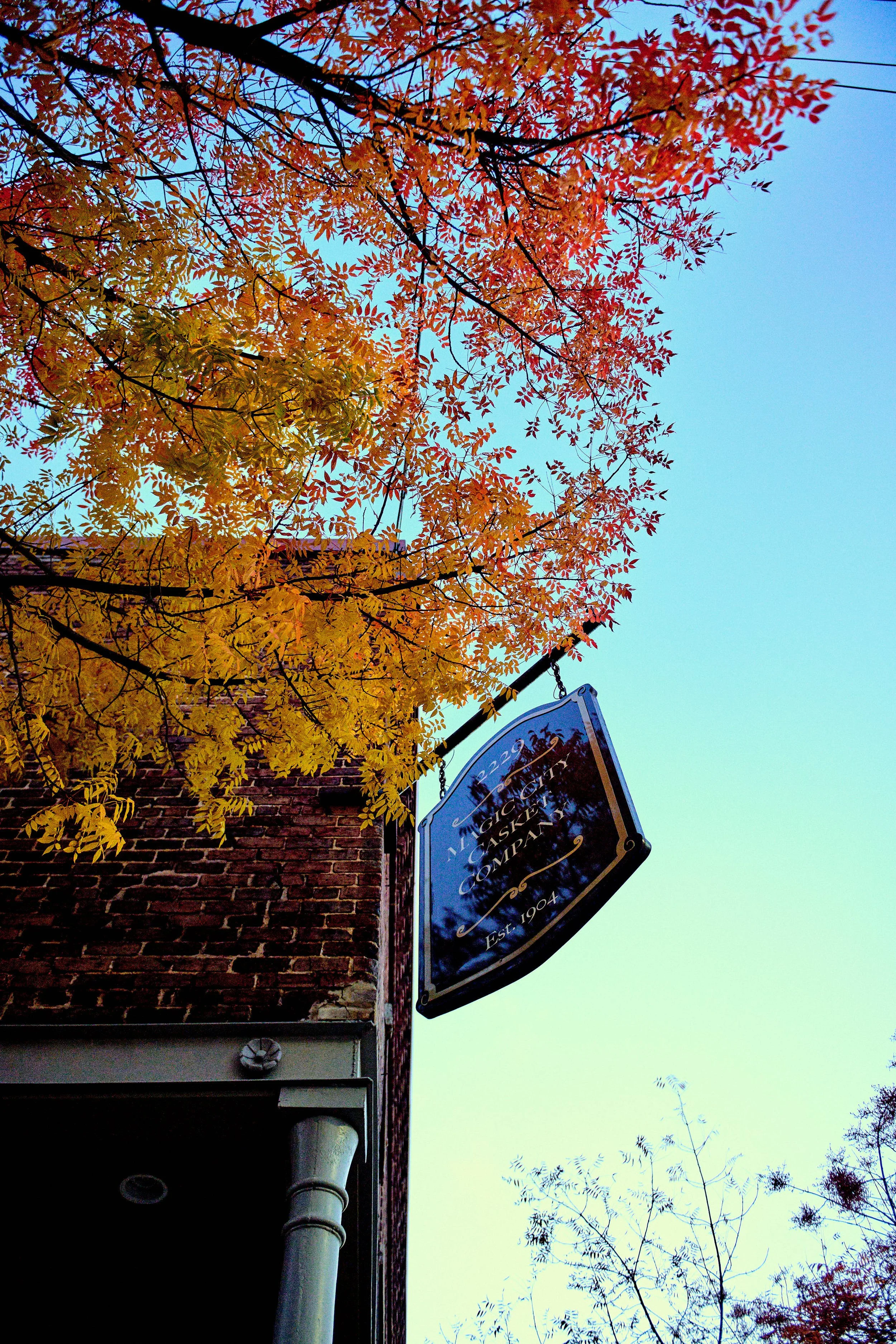 11.08.25 Fall in Birmingham-DMS_1049.jpg