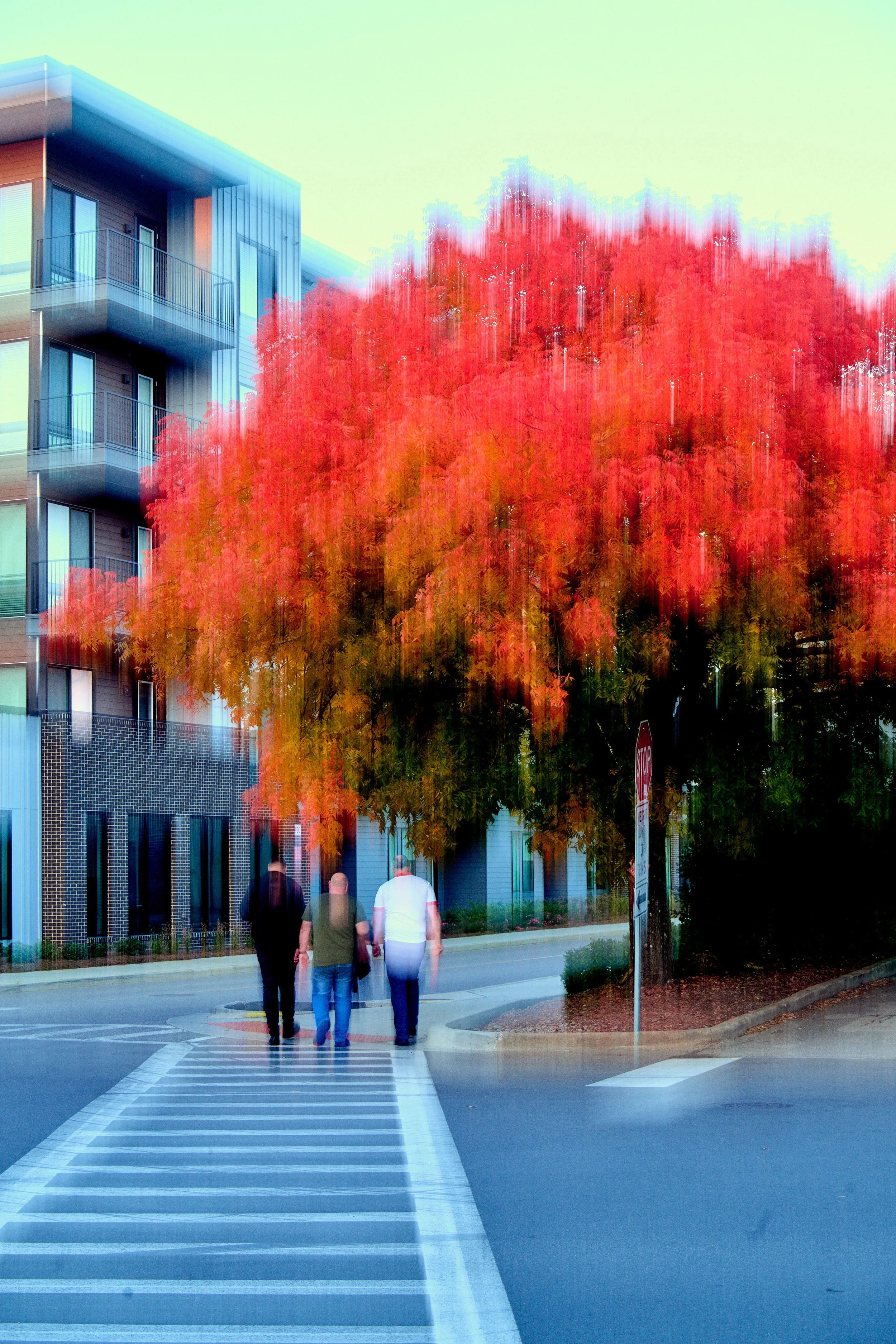 11.08.25 Fall in Birmingham-DMS_1046.jpg