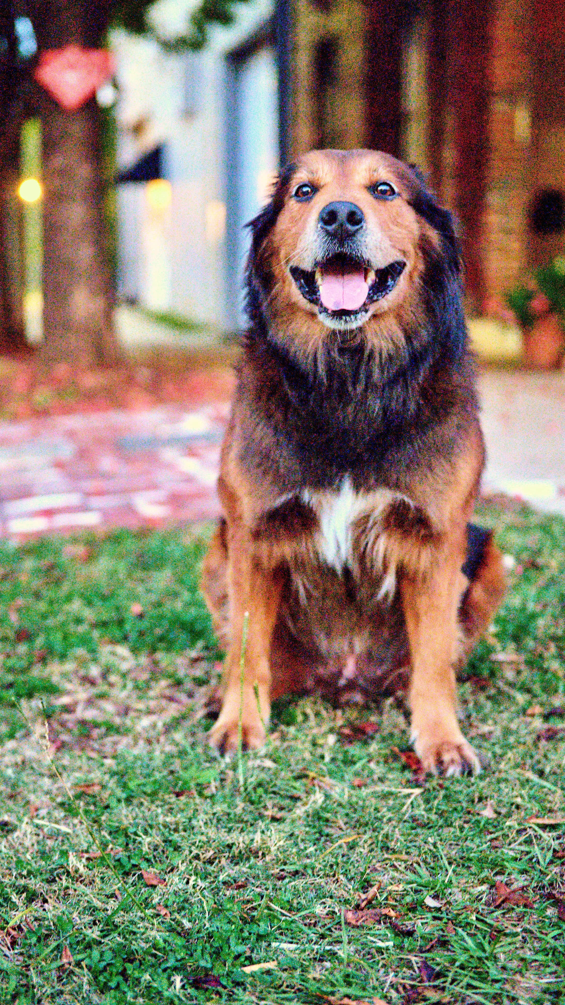 11.08.25 Fall in Birmingham-DMS_1053.jpg