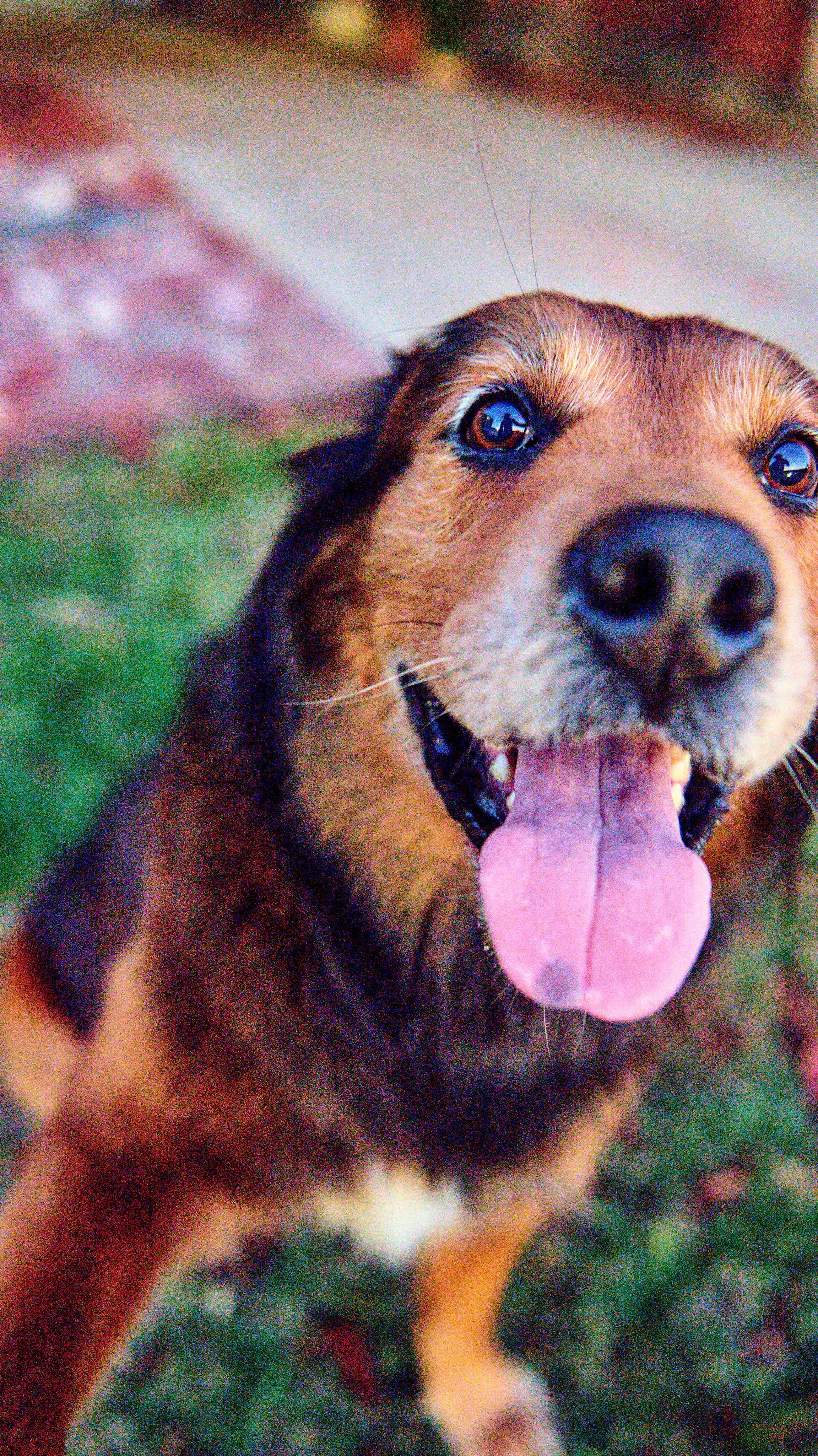 11.08.25 Fall in Birmingham-DMS_1059.jpg