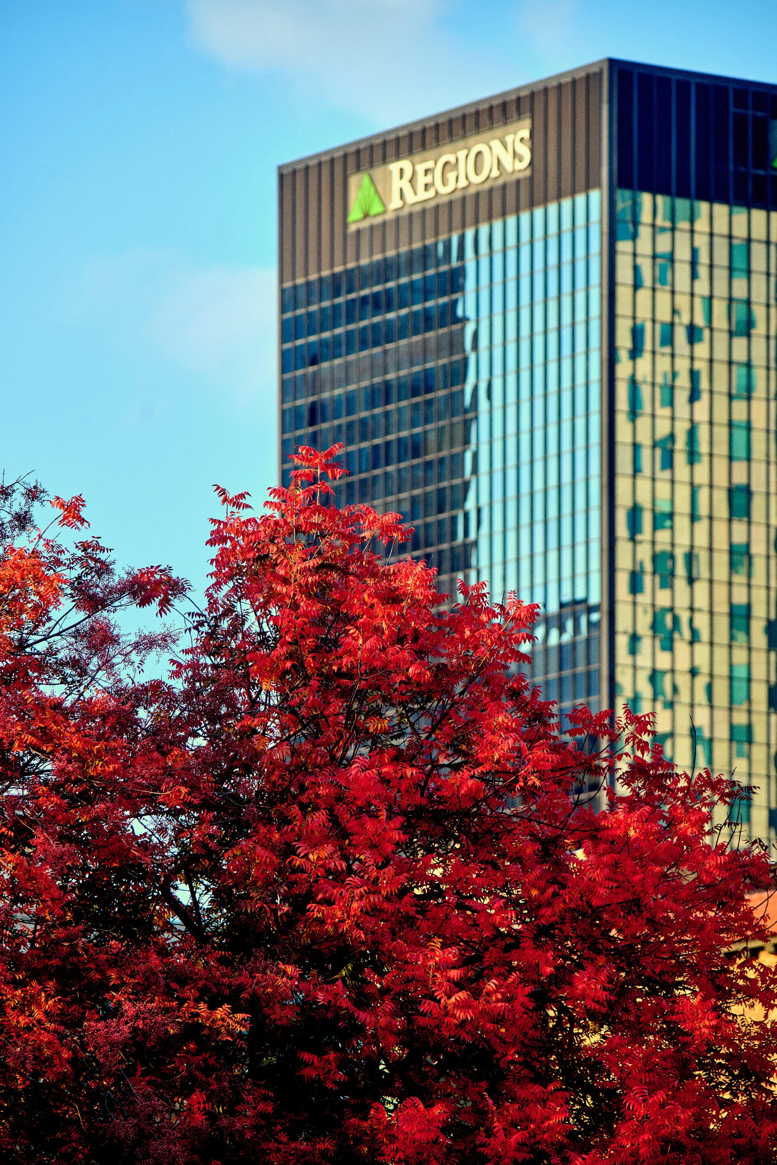 11.08.25 Fall in Birmingham-DMS_1027.jpg