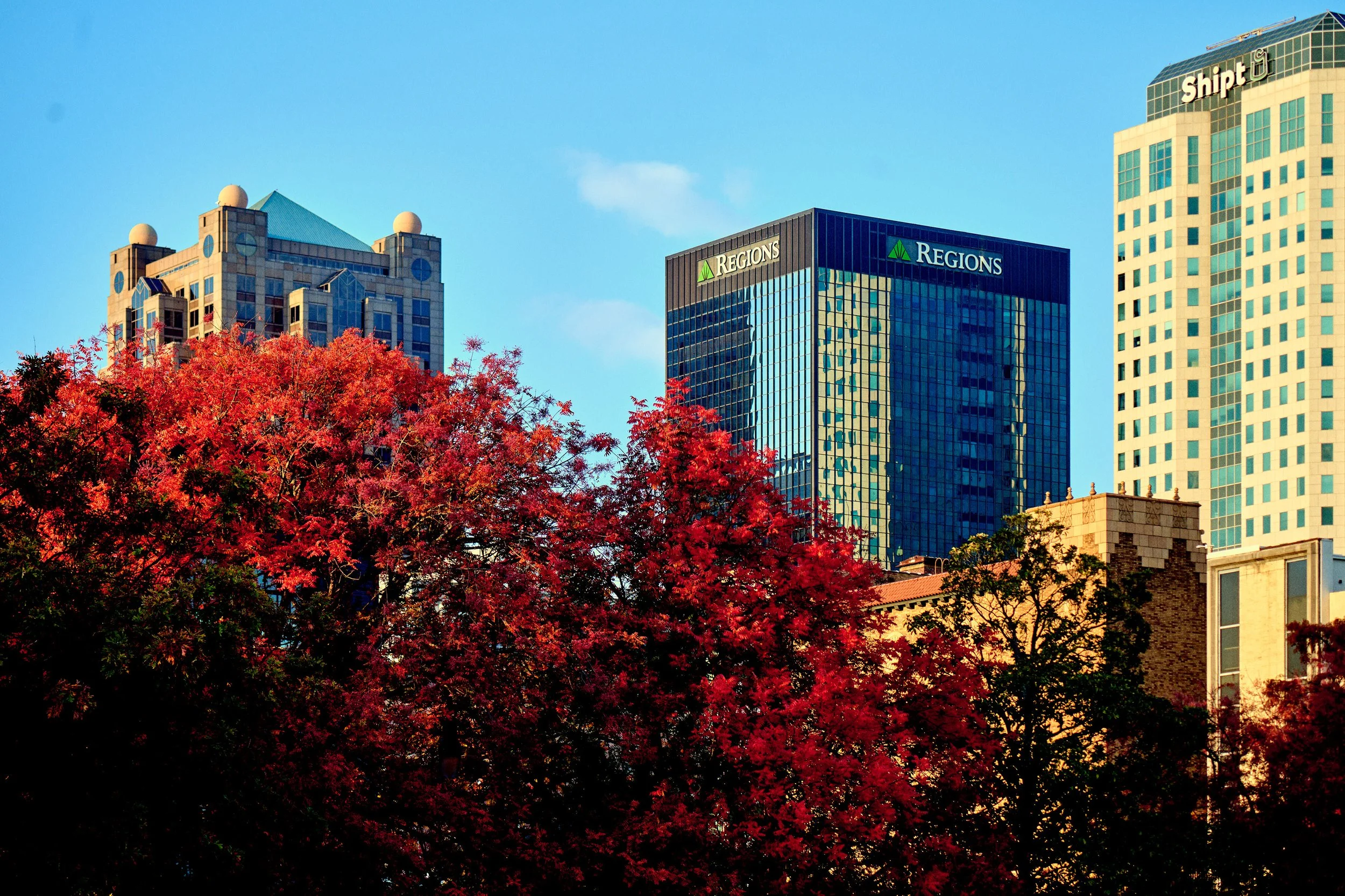 11.08.25 Fall in Birmingham-DMS_1026.jpg