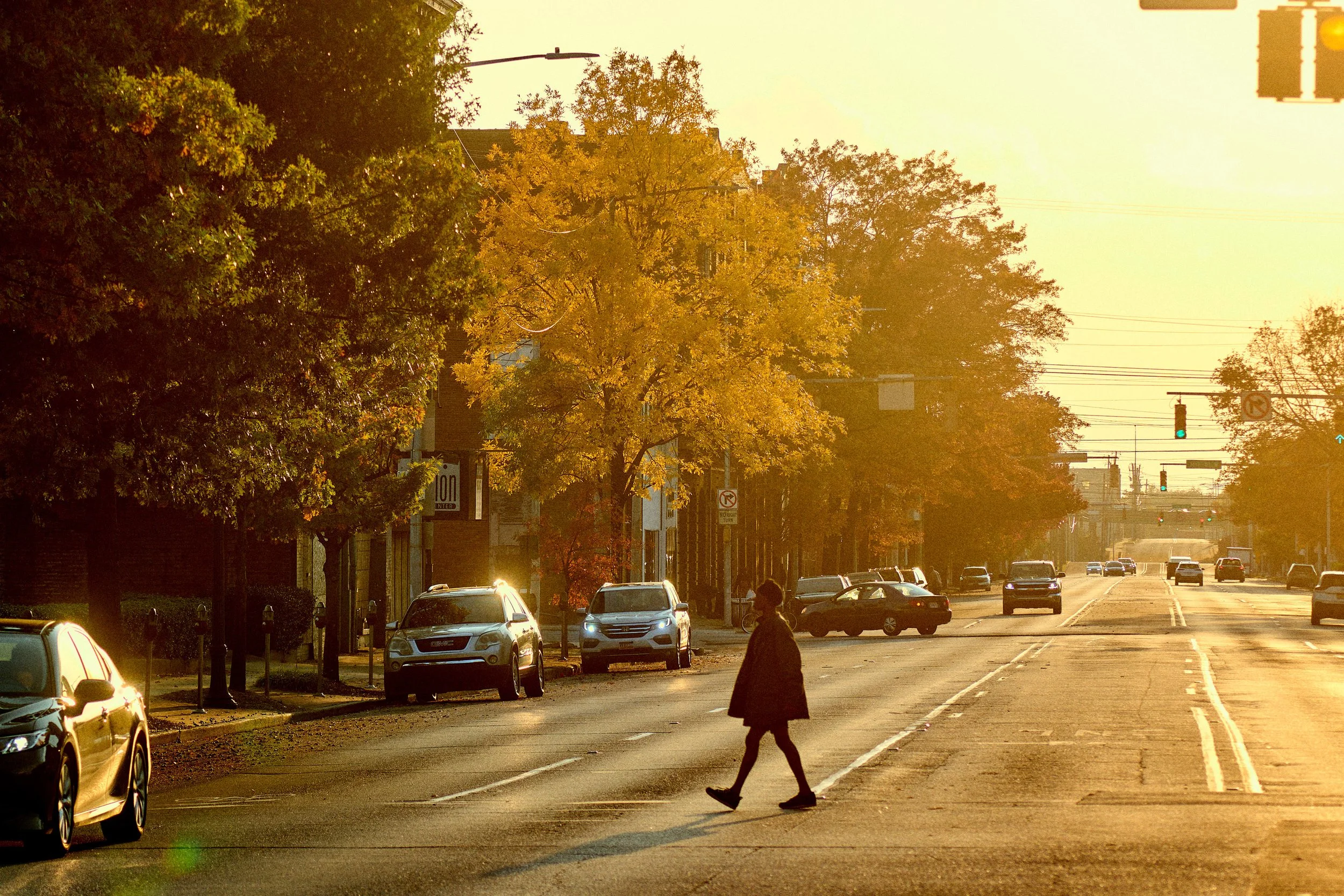 11.08.25 Fall in Birmingham-DMS_1028.jpg