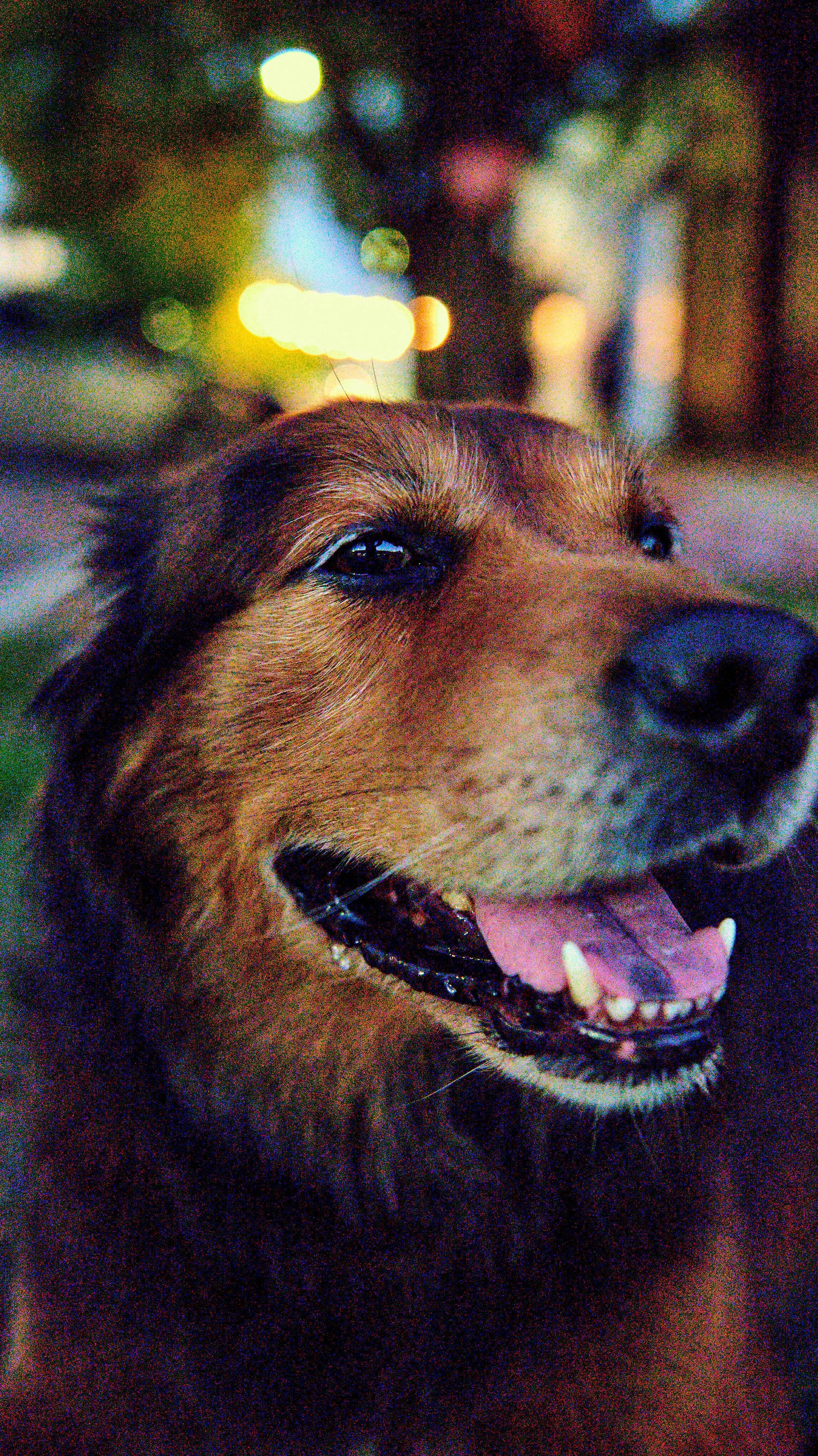 11.08.25 Fall in Birmingham-DMS_1073.jpg