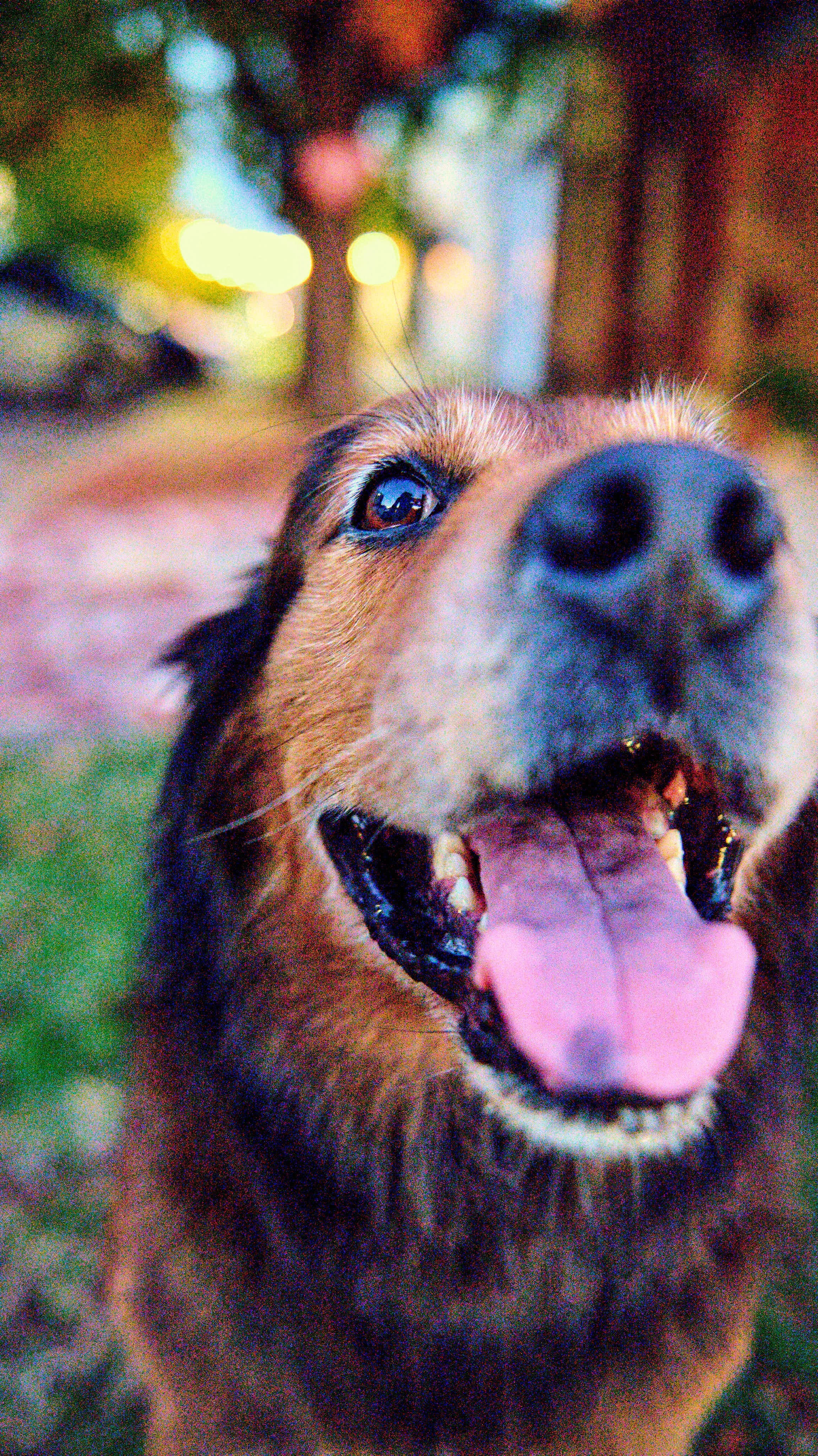 11.08.25 Fall in Birmingham-DMS_1056.jpg