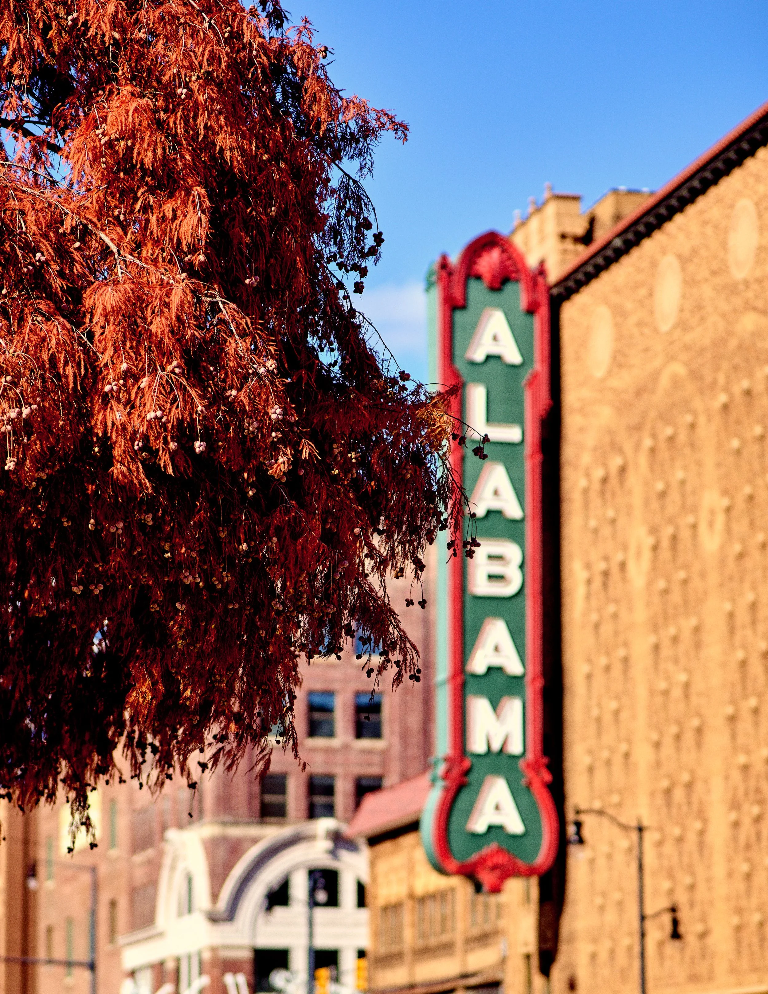 11.09.25 Fall in Birmingham-DMS_1078.jpg