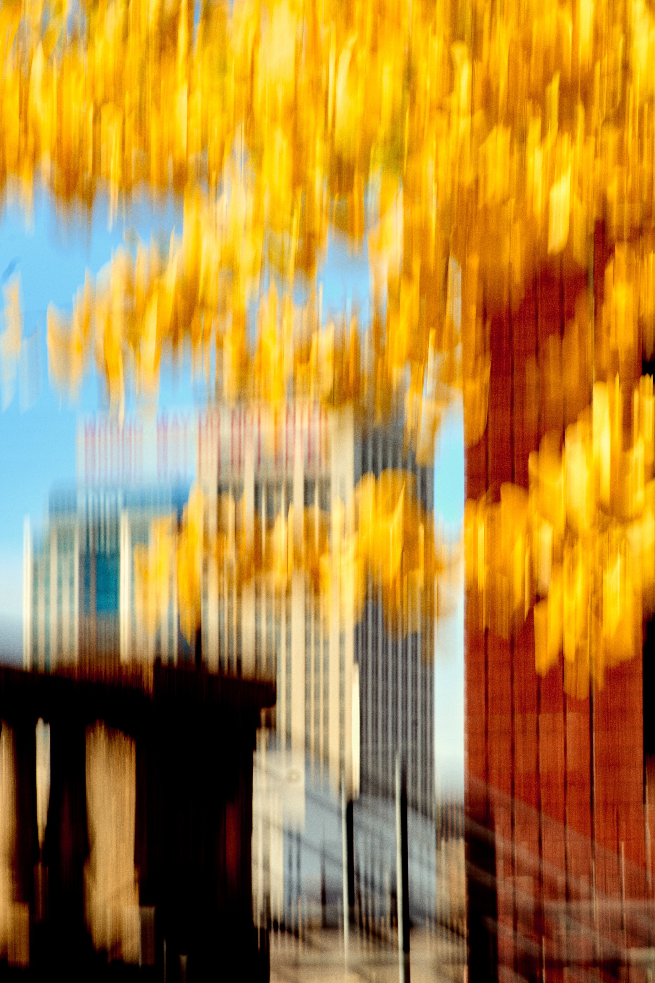 11.09.25 Fall in Birmingham-DMS_1098.jpg