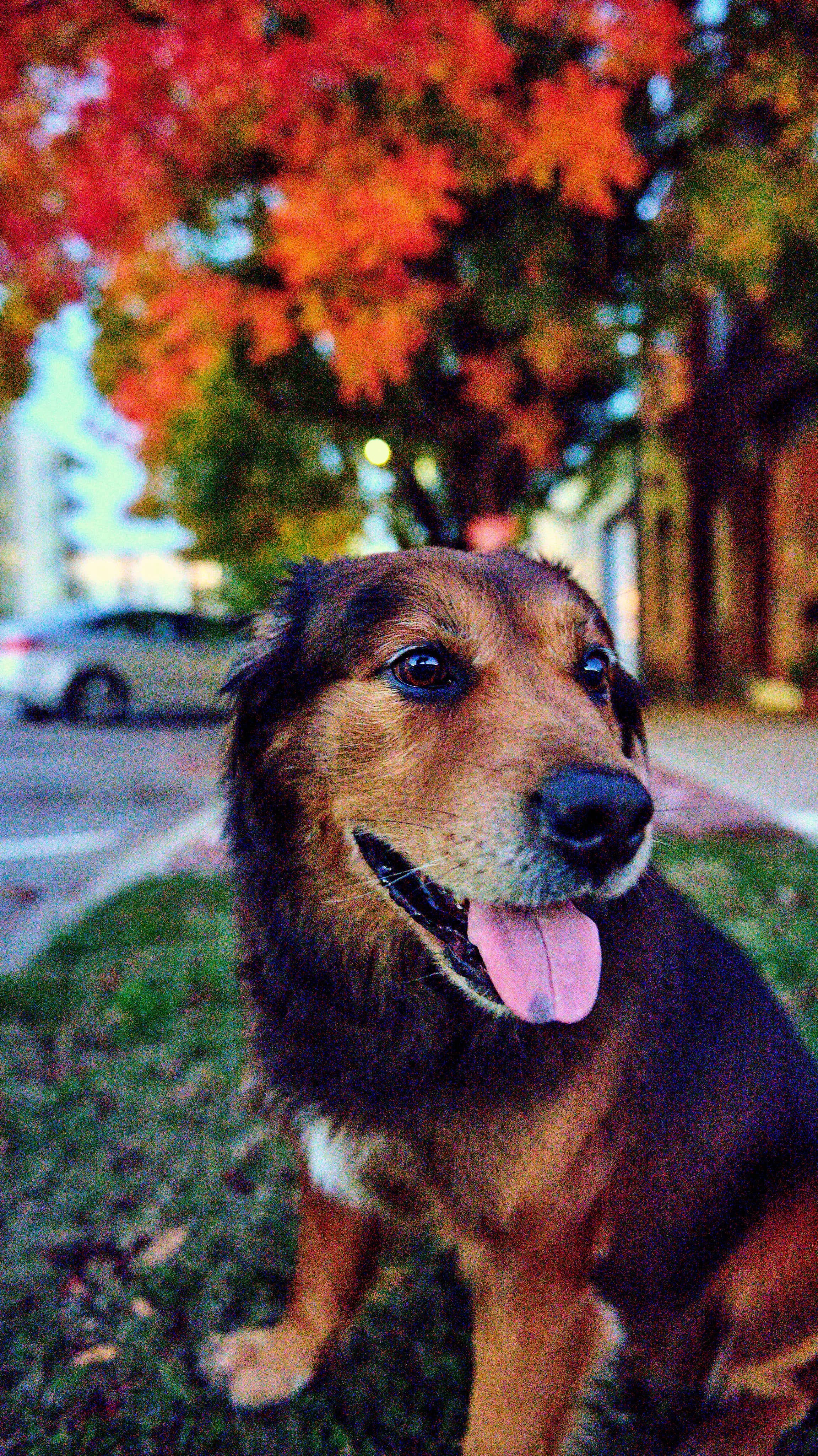 11.08.25 Fall in Birmingham-DMS_1066.jpg