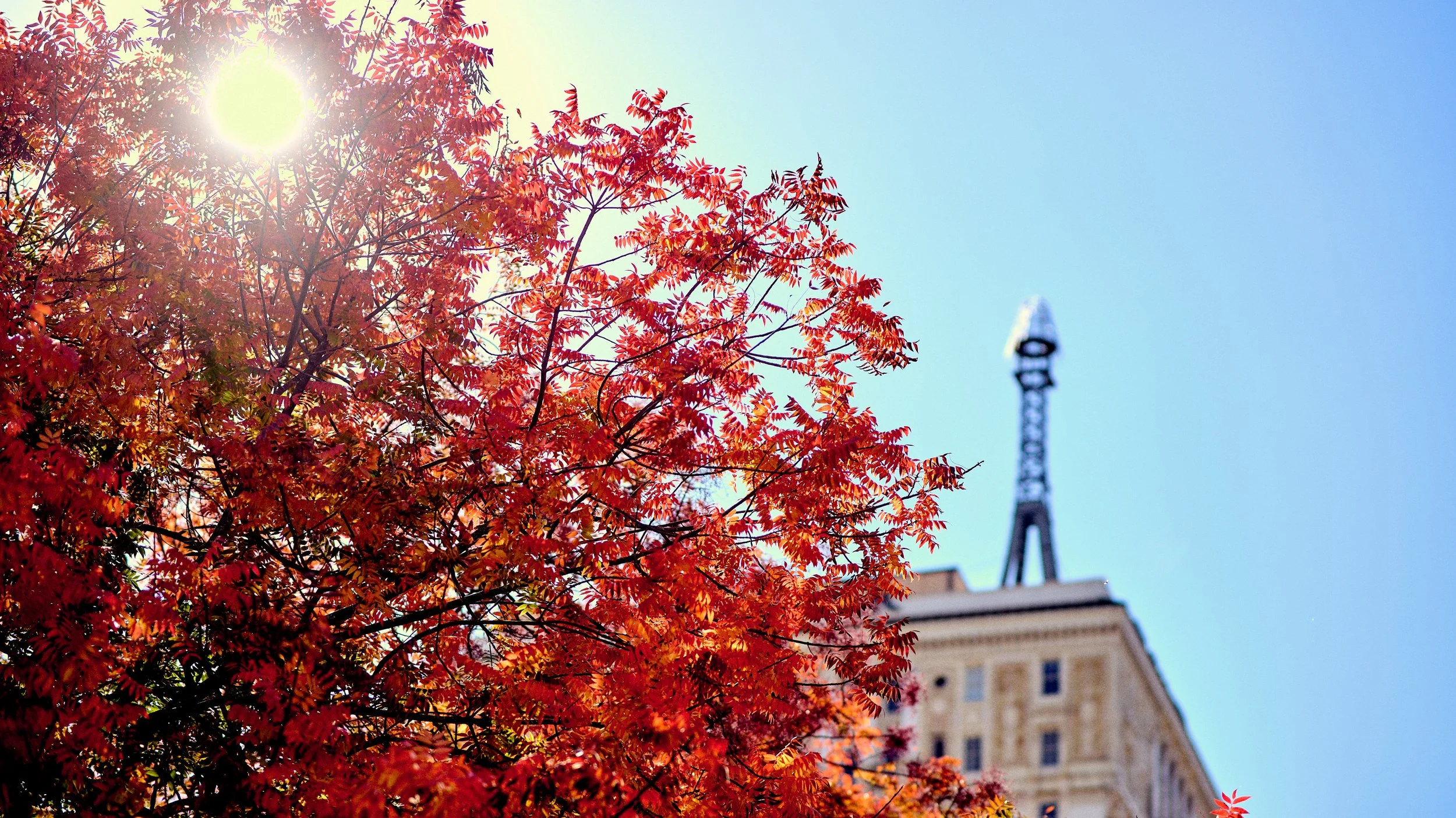 11.09.25 Fall in Birmingham-DMS_1076.jpg