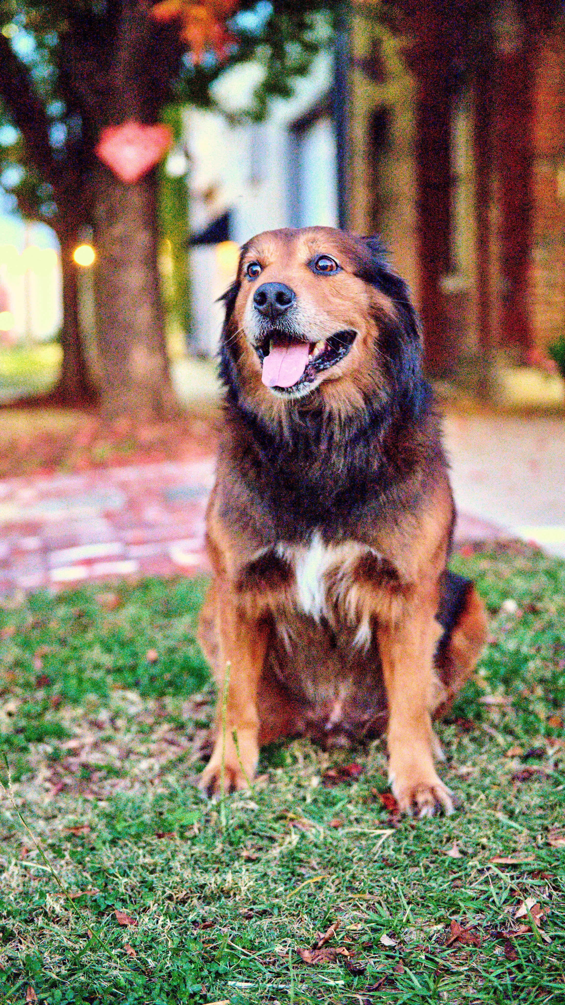 11.08.25 Fall in Birmingham-DMS_1051.jpg