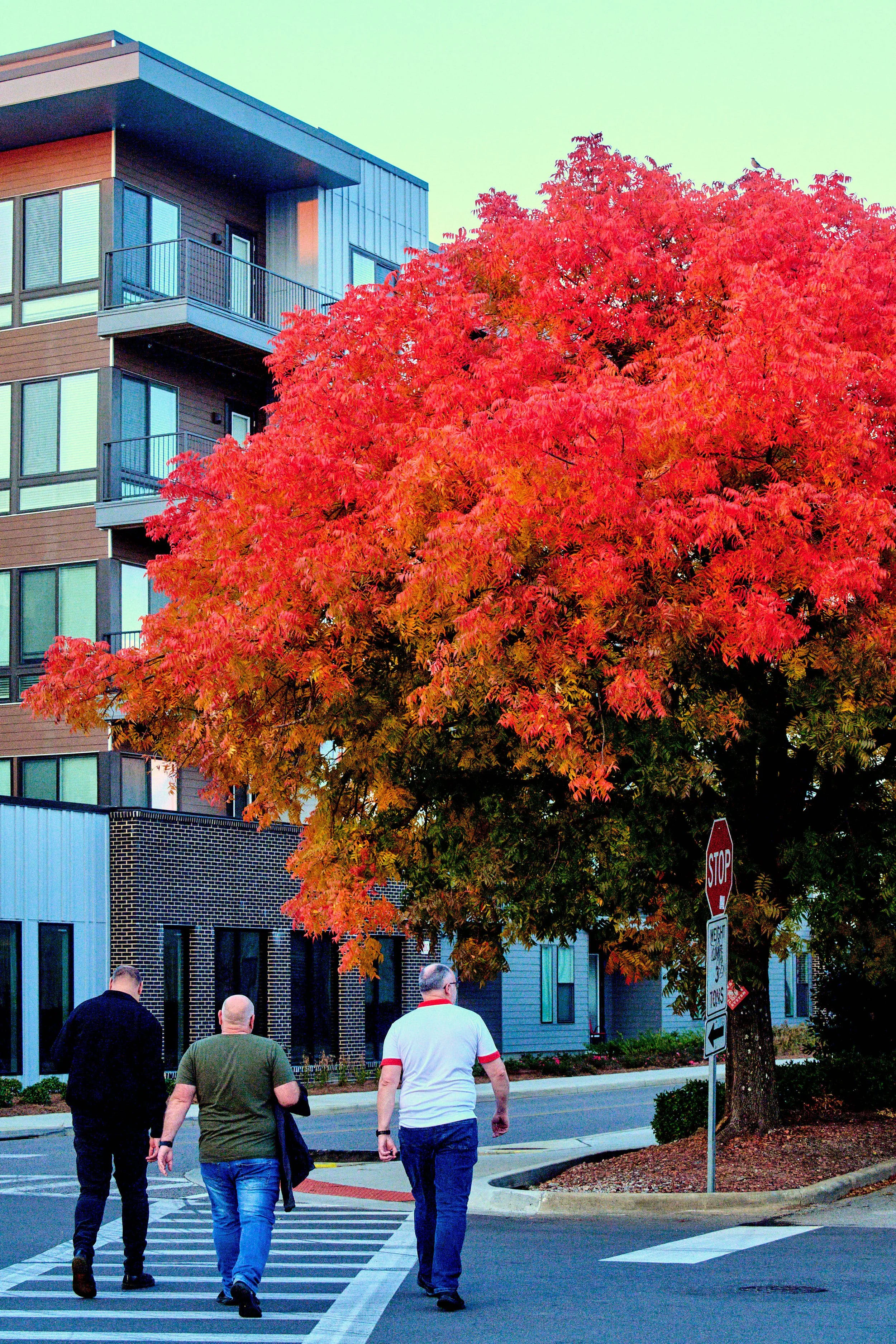 11.08.25 Fall in Birmingham-DMS_1045.jpg