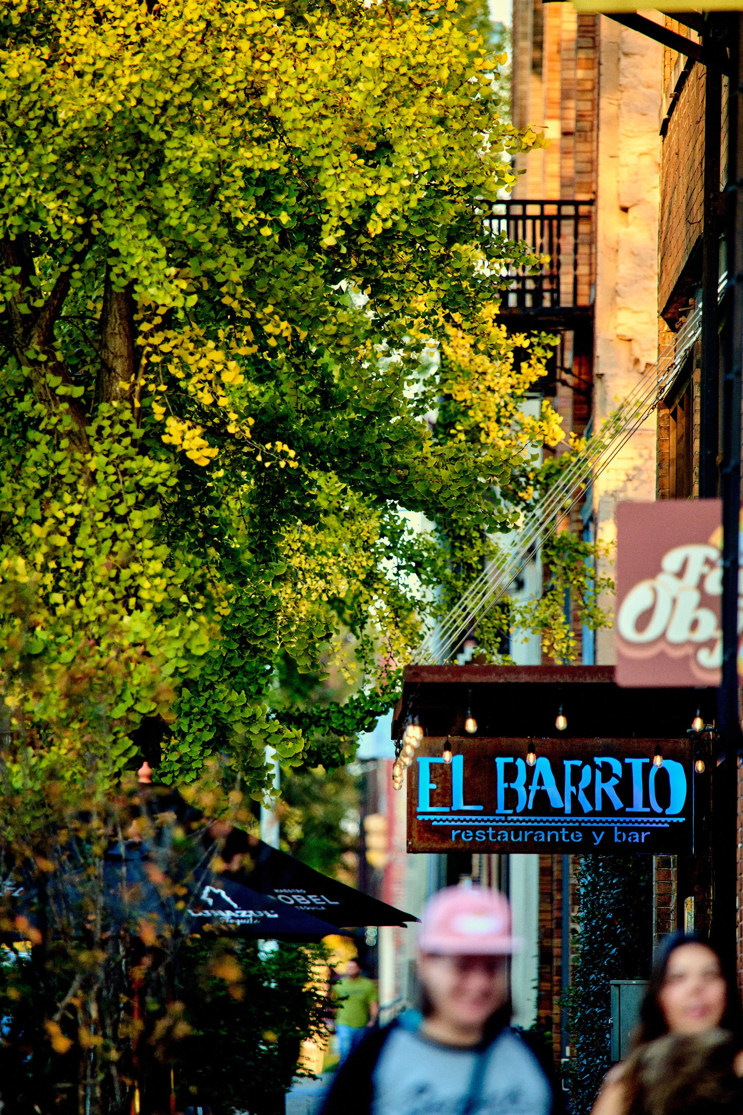 11.08.25 Fall in Birmingham-DMS_1032.jpg